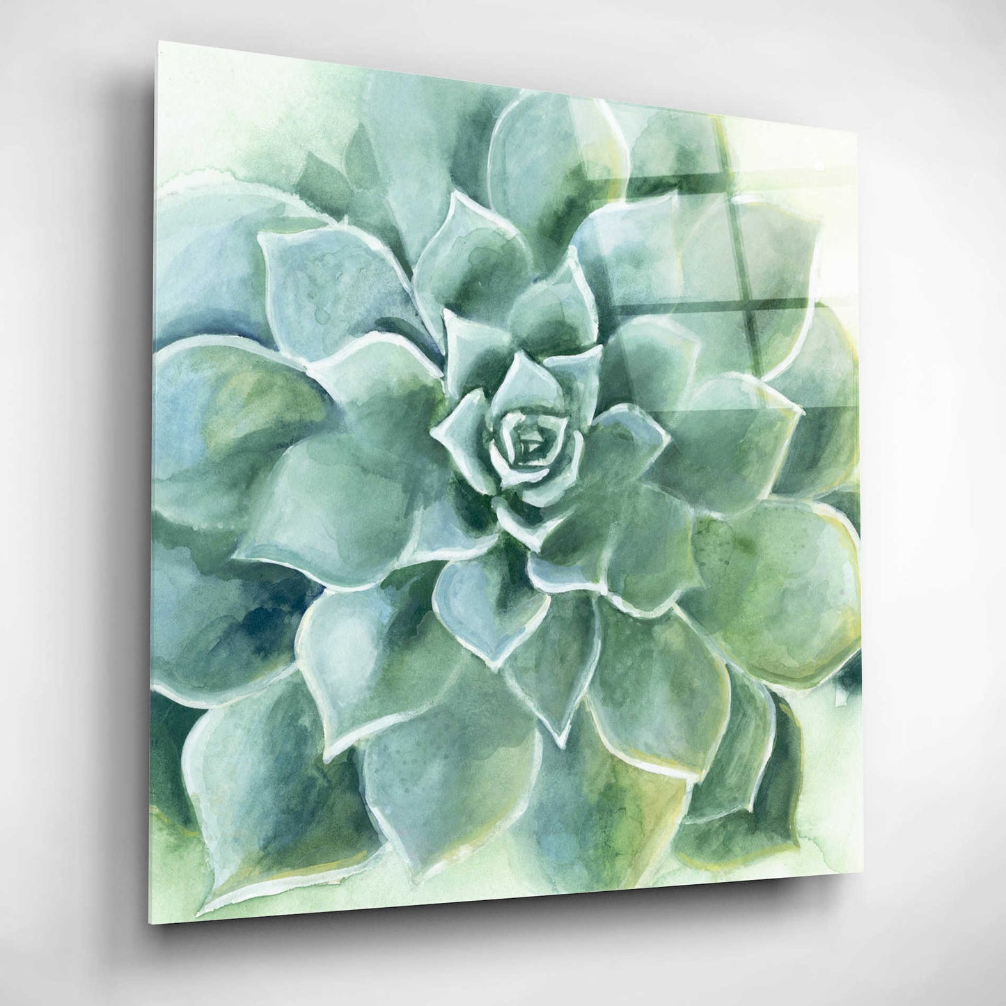 Epic Art 'Verdant Succulent II' by Grace Popp, Acrylic Wall Glass,12x12