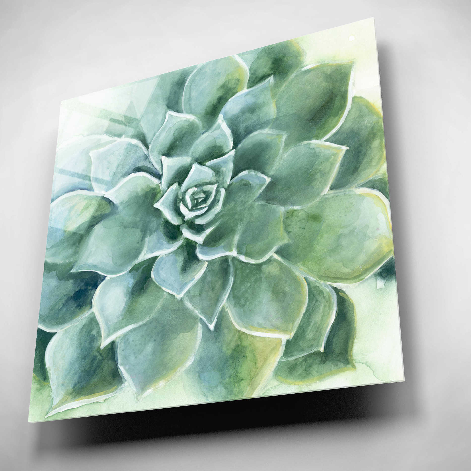 Epic Art 'Verdant Succulent II' by Grace Popp, Acrylic Wall Glass,12x12