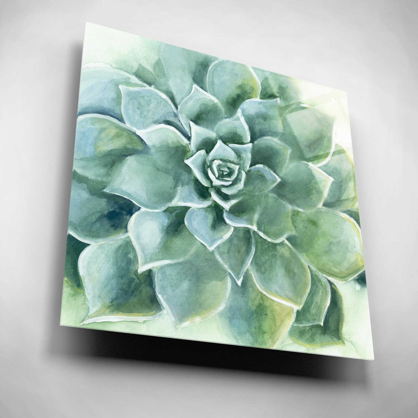 Epic Art 'Verdant Succulent II' by Grace Popp, Acrylic Wall Glass,12x12