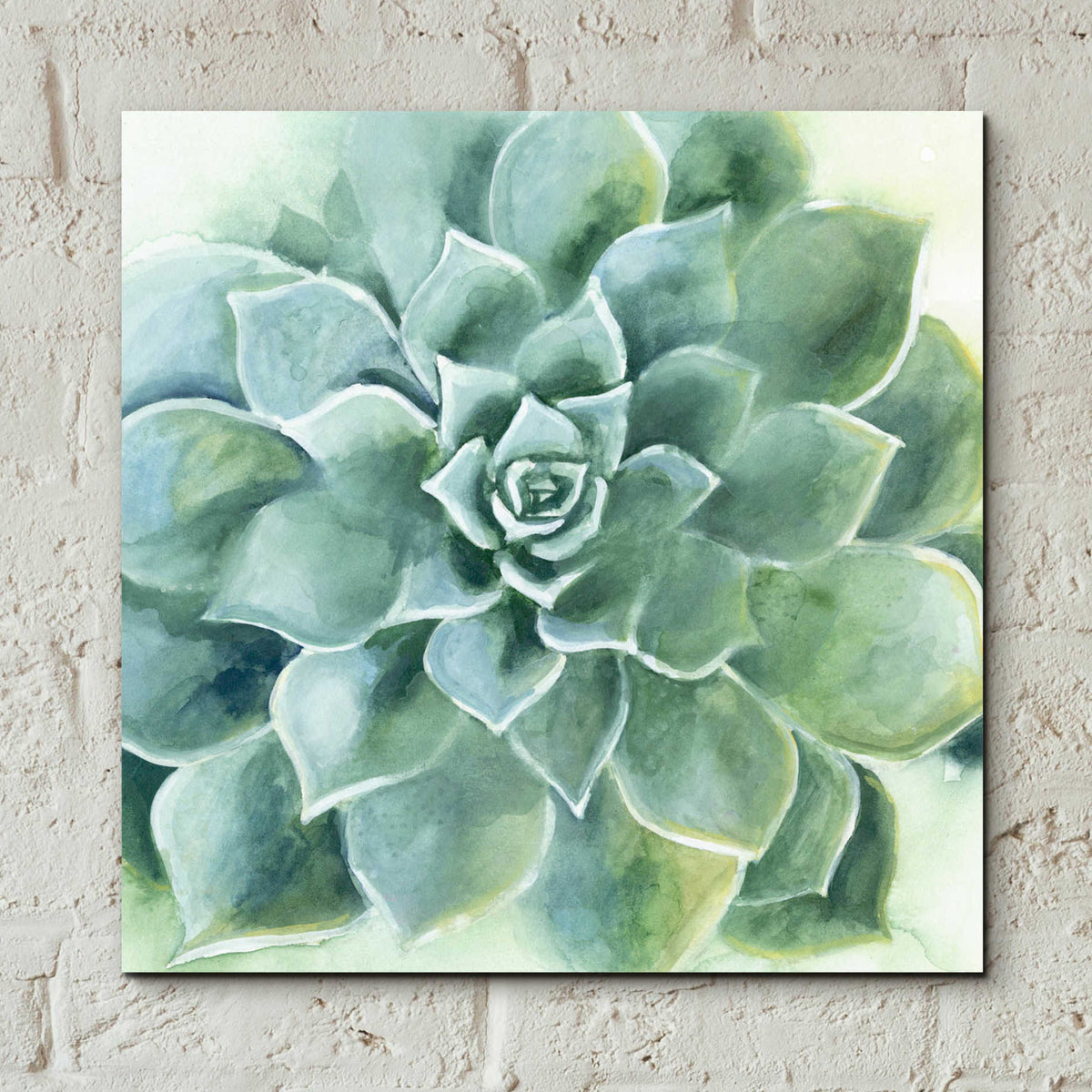 Epic Art 'Verdant Succulent II' by Grace Popp, Acrylic Wall Glass,12x12