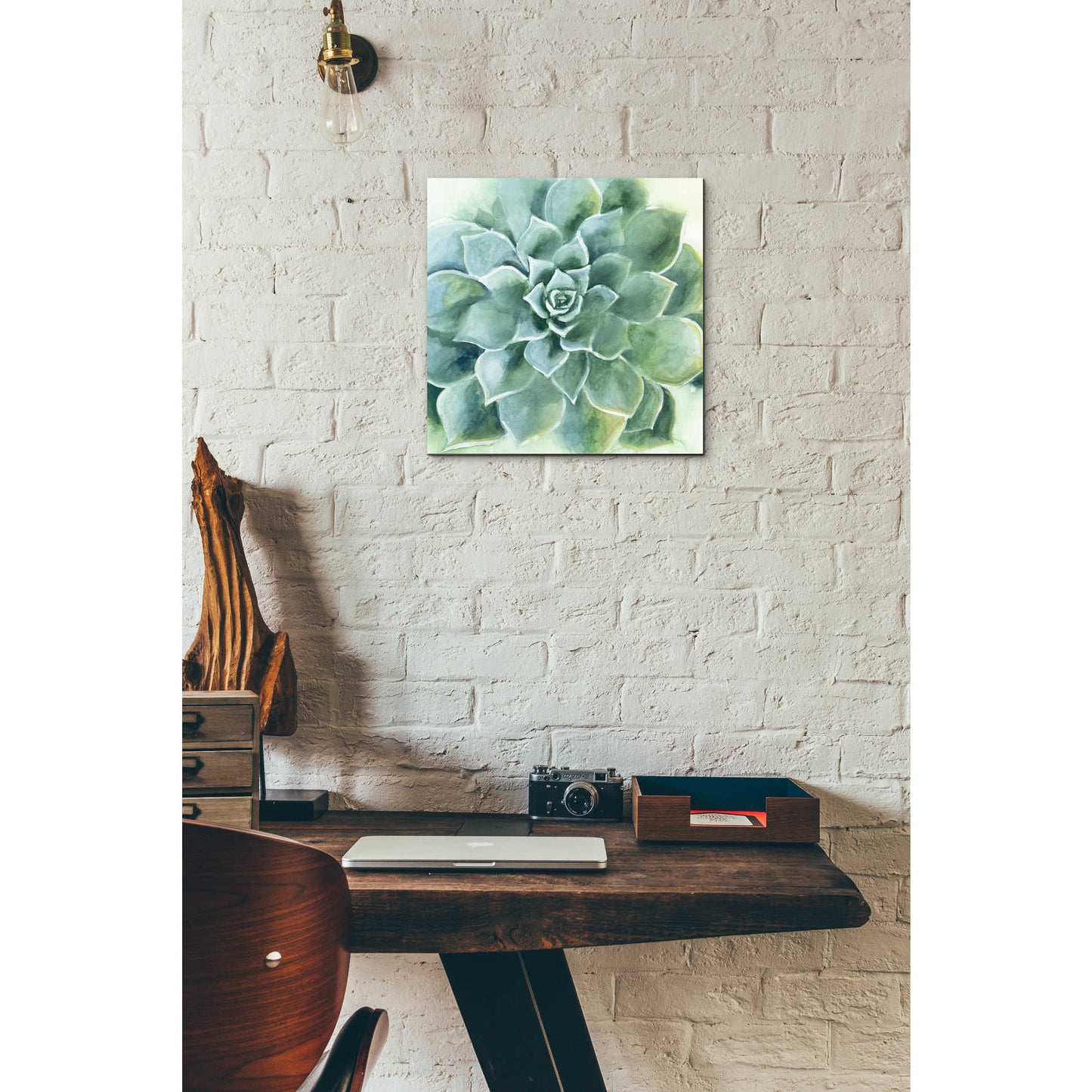 Epic Art 'Verdant Succulent II' by Grace Popp, Acrylic Wall Glass,12x12