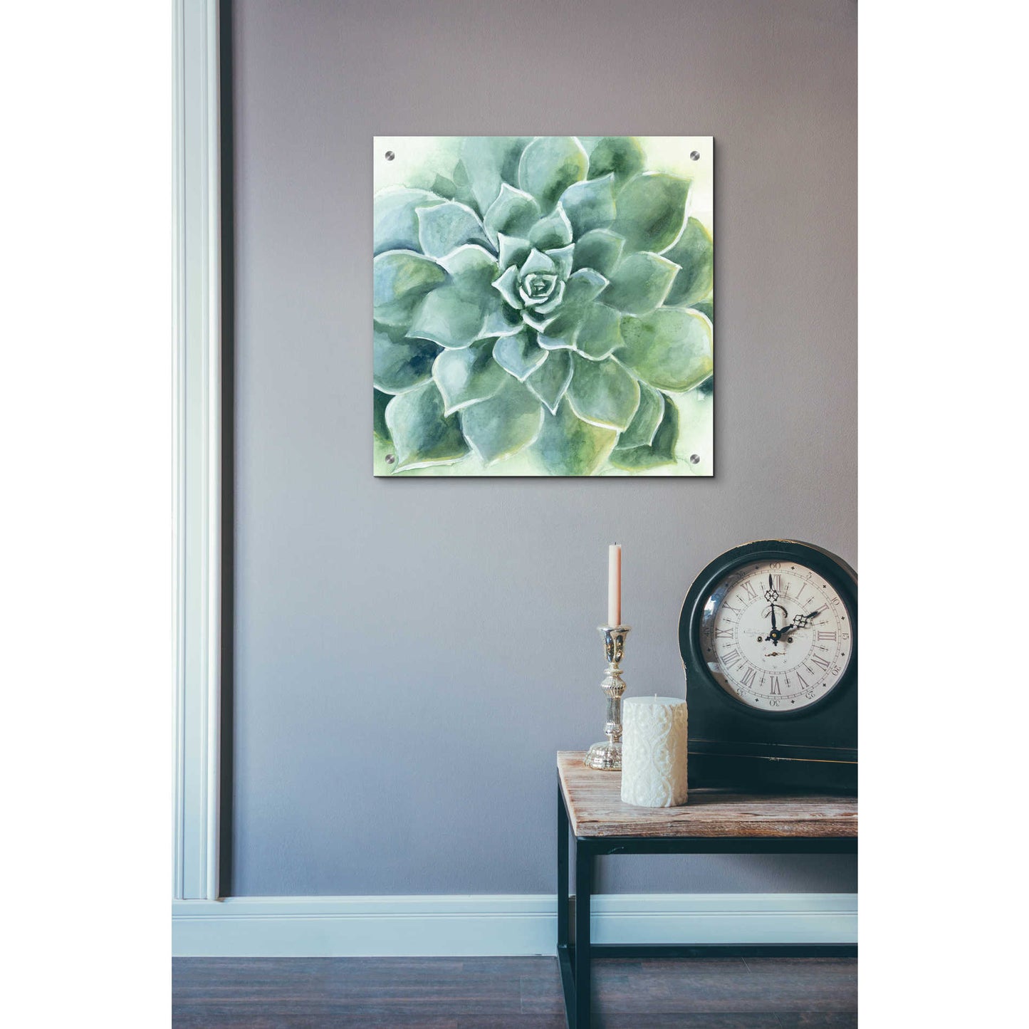 Epic Art 'Verdant Succulent II' by Grace Popp, Acrylic Wall Glass,24x24
