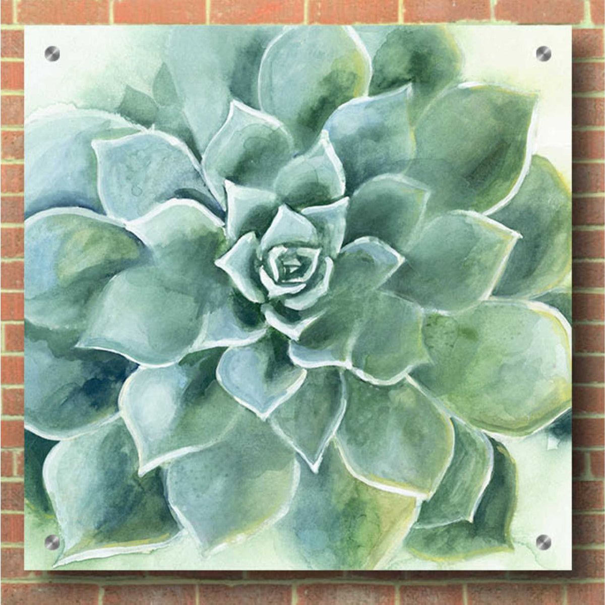 Epic Art 'Verdant Succulent II' by Grace Popp, Acrylic Wall Glass,36x36