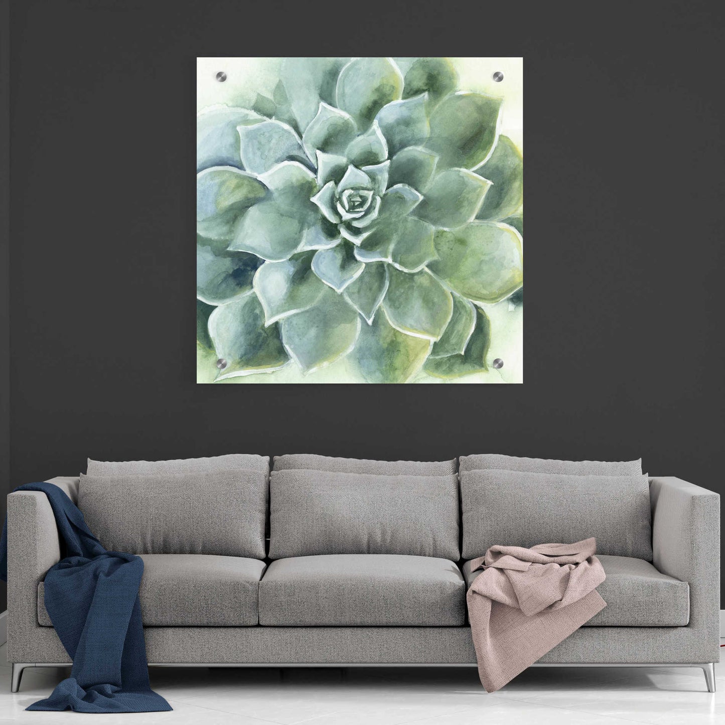 Epic Art 'Verdant Succulent II' by Grace Popp, Acrylic Wall Glass,36x36