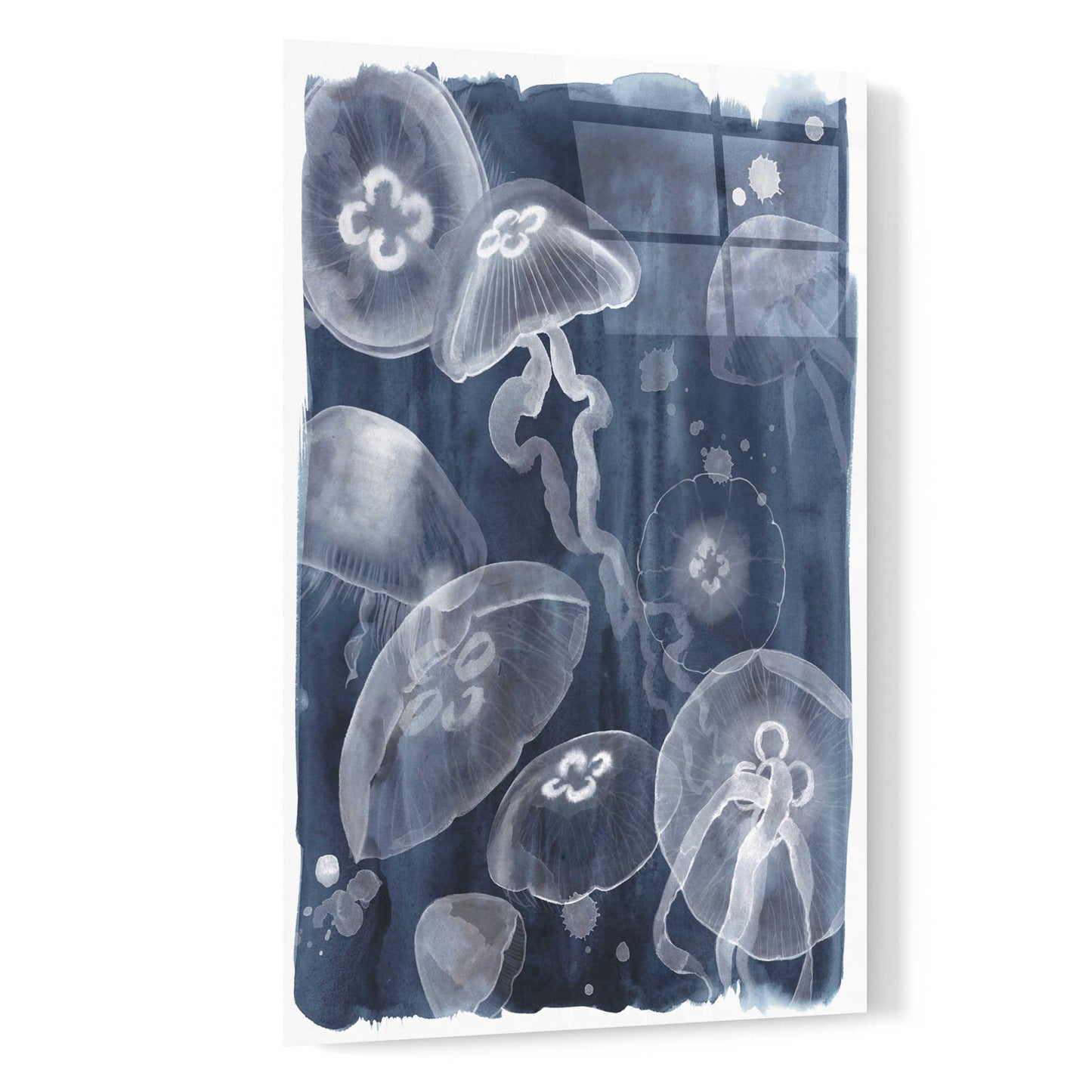 Epic Art 'Moon Jellies I' by Grace Popp, Acrylic Wall Glass,16x24