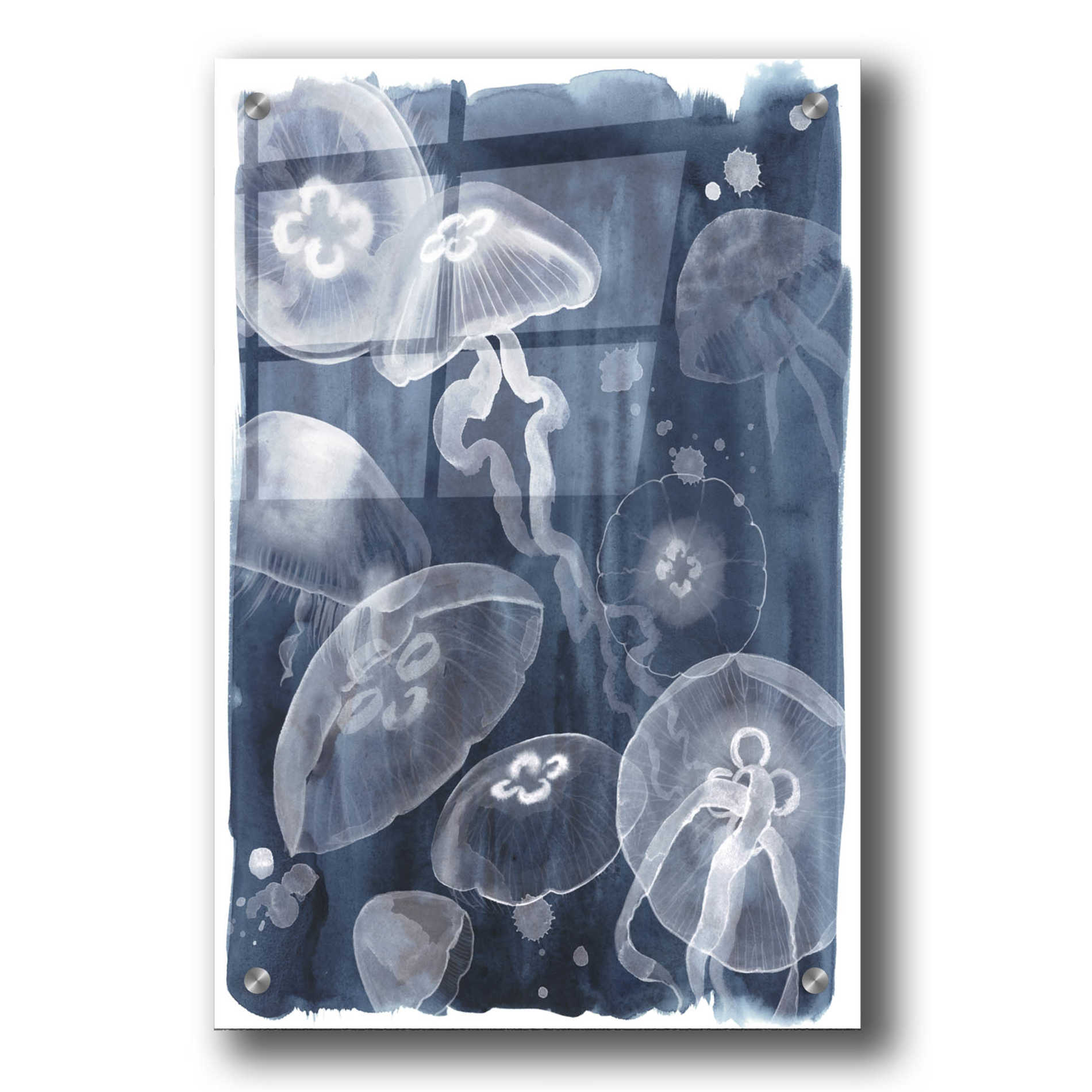 Epic Art 'Moon Jellies I' by Grace Popp, Acrylic Wall Glass,24x36