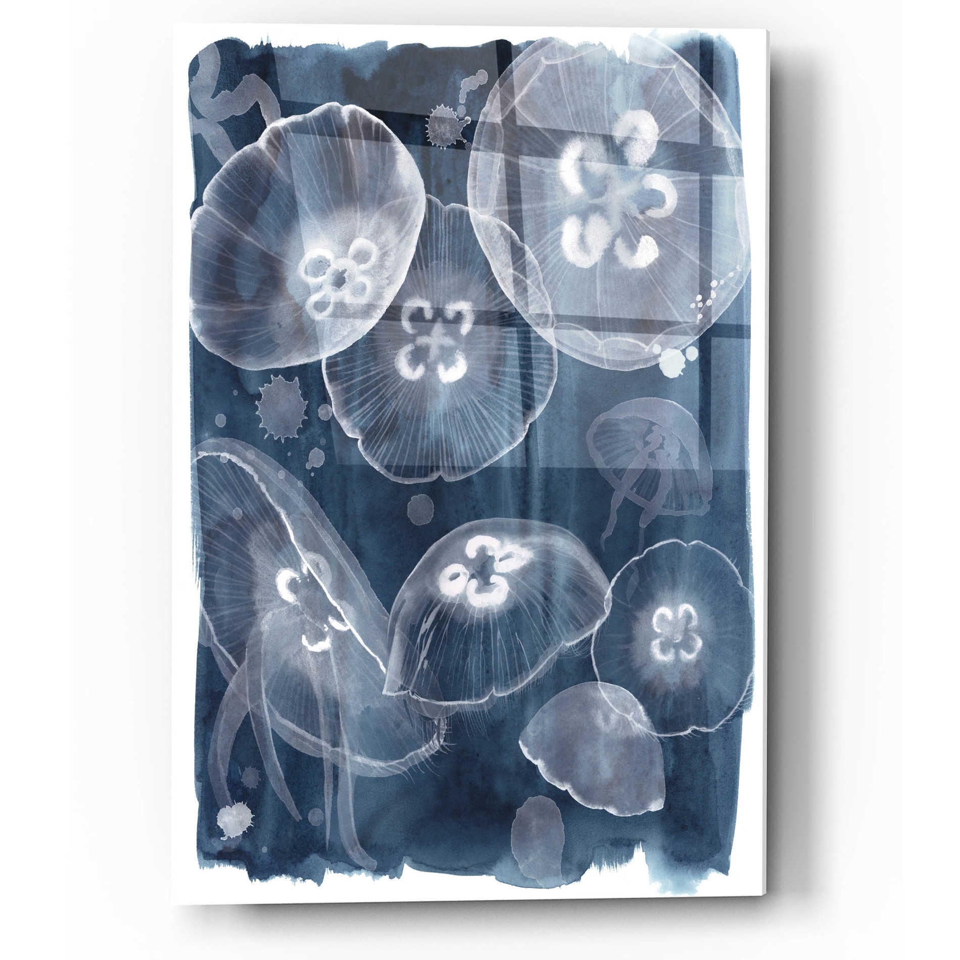 Epic Art 'Moon Jellies II' by Grace Popp, Acrylic Wall Glass,12x16
