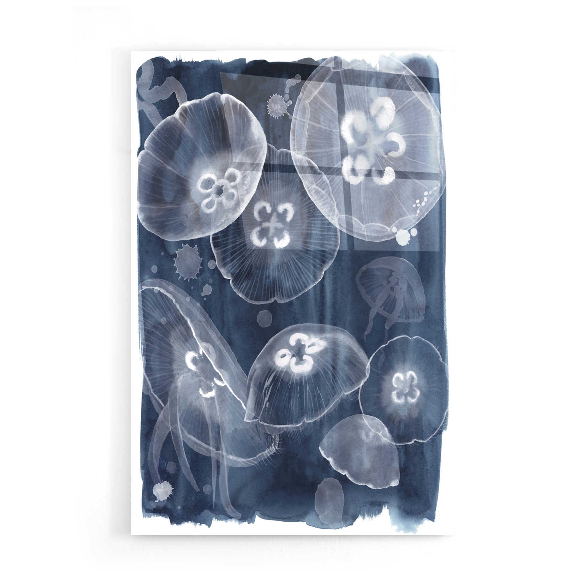 Epic Art 'Moon Jellies II' by Grace Popp, Acrylic Wall Glass,16x24