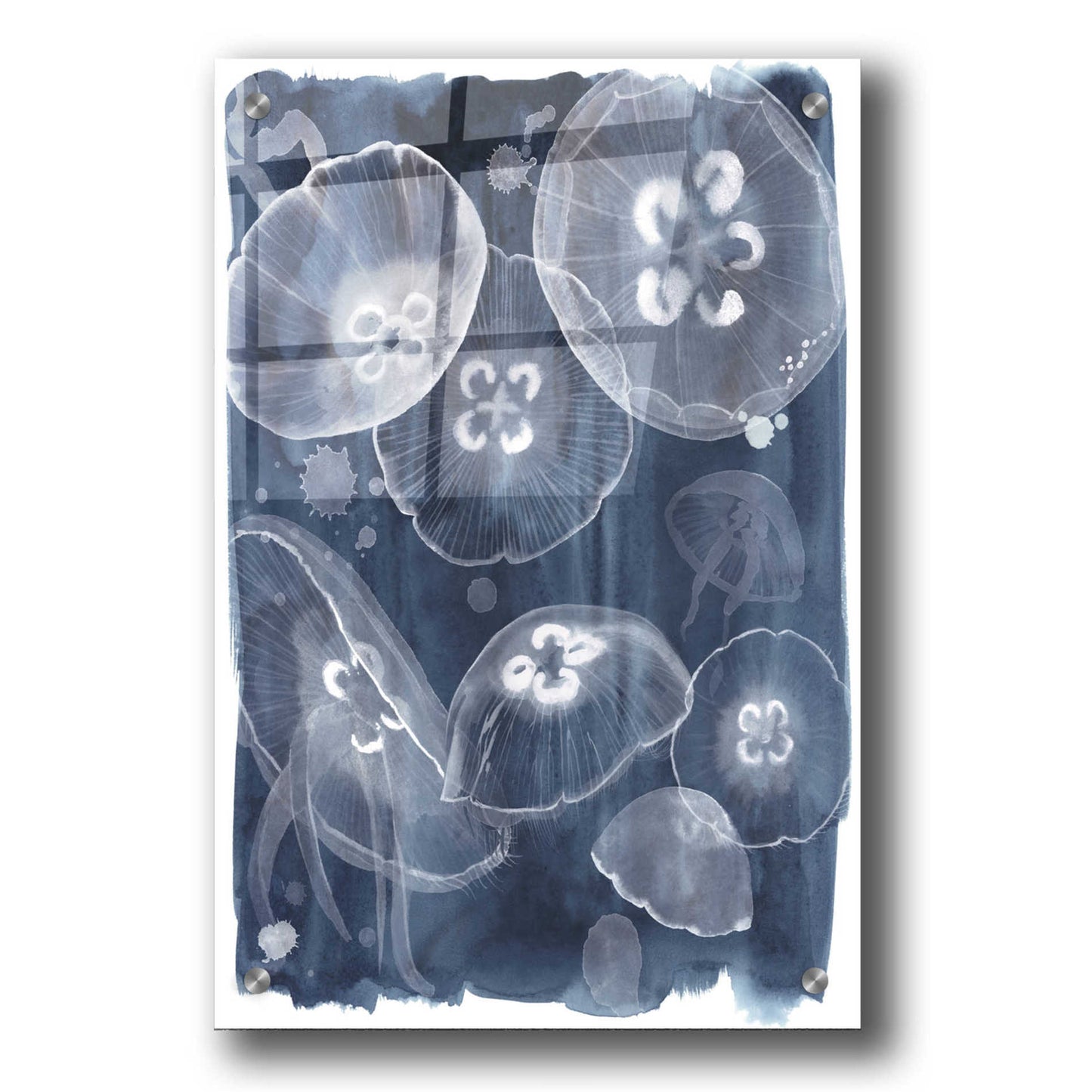Epic Art 'Moon Jellies II' by Grace Popp, Acrylic Wall Glass,24x36