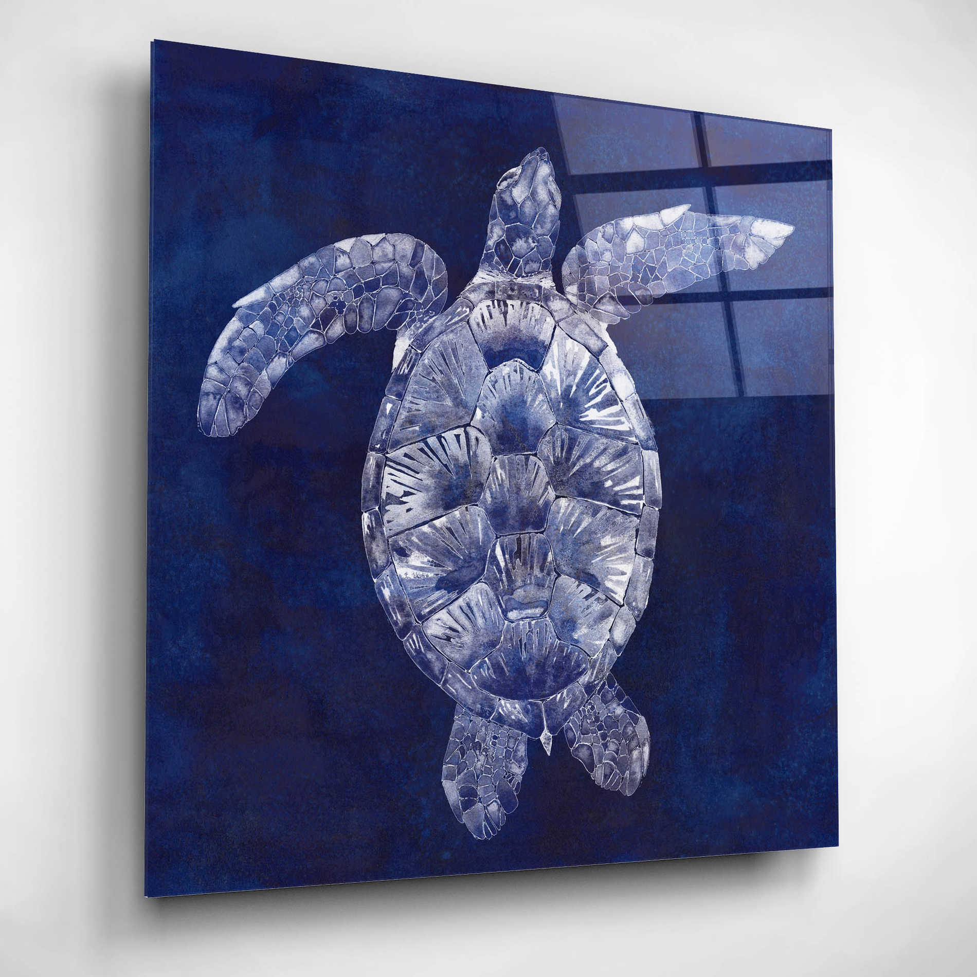 Epic Art 'Sea Turtle Shadow II' by Grace Popp, Acrylic Wall Glass,12x12