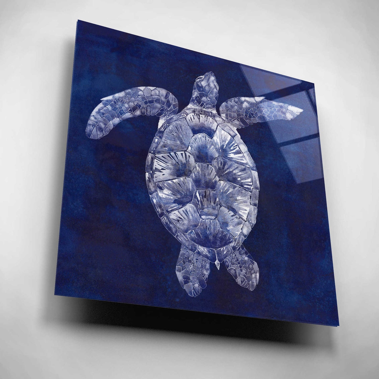Epic Art 'Sea Turtle Shadow II' by Grace Popp, Acrylic Wall Glass,12x12