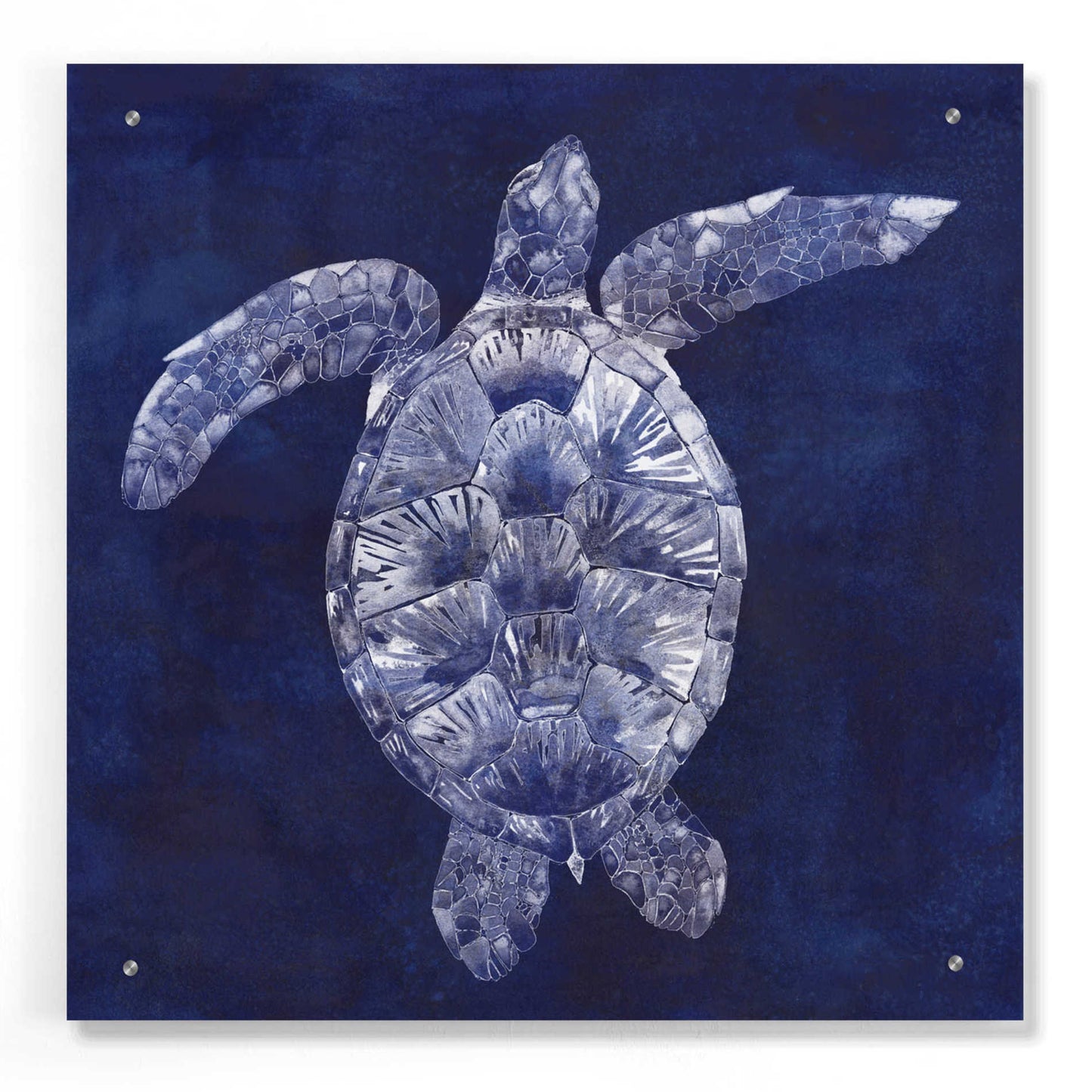 Epic Art 'Sea Turtle Shadow II' by Grace Popp, Acrylic Wall Glass,24x24