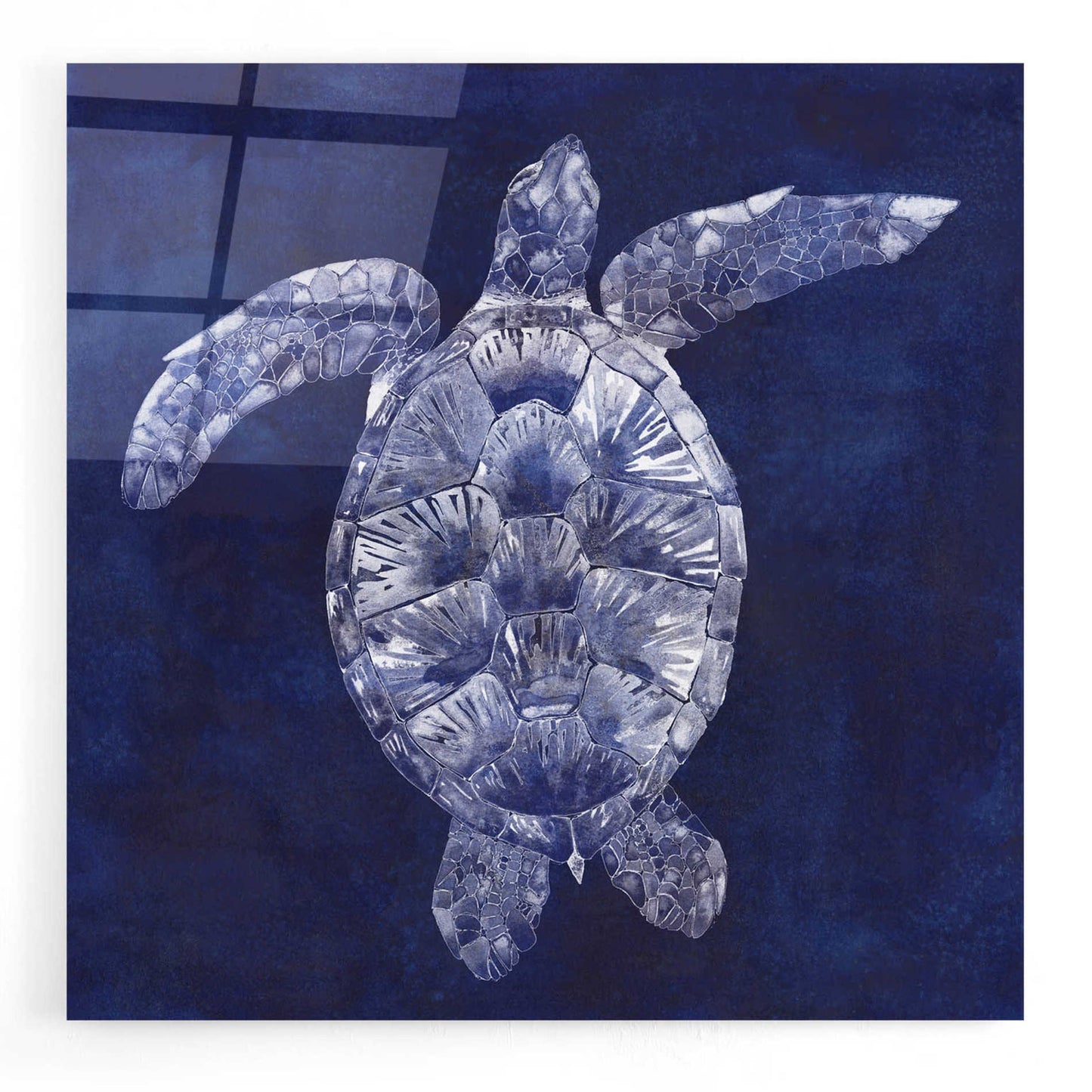 Epic Art 'Sea Turtle Shadow II' by Grace Popp, Acrylic Wall Glass