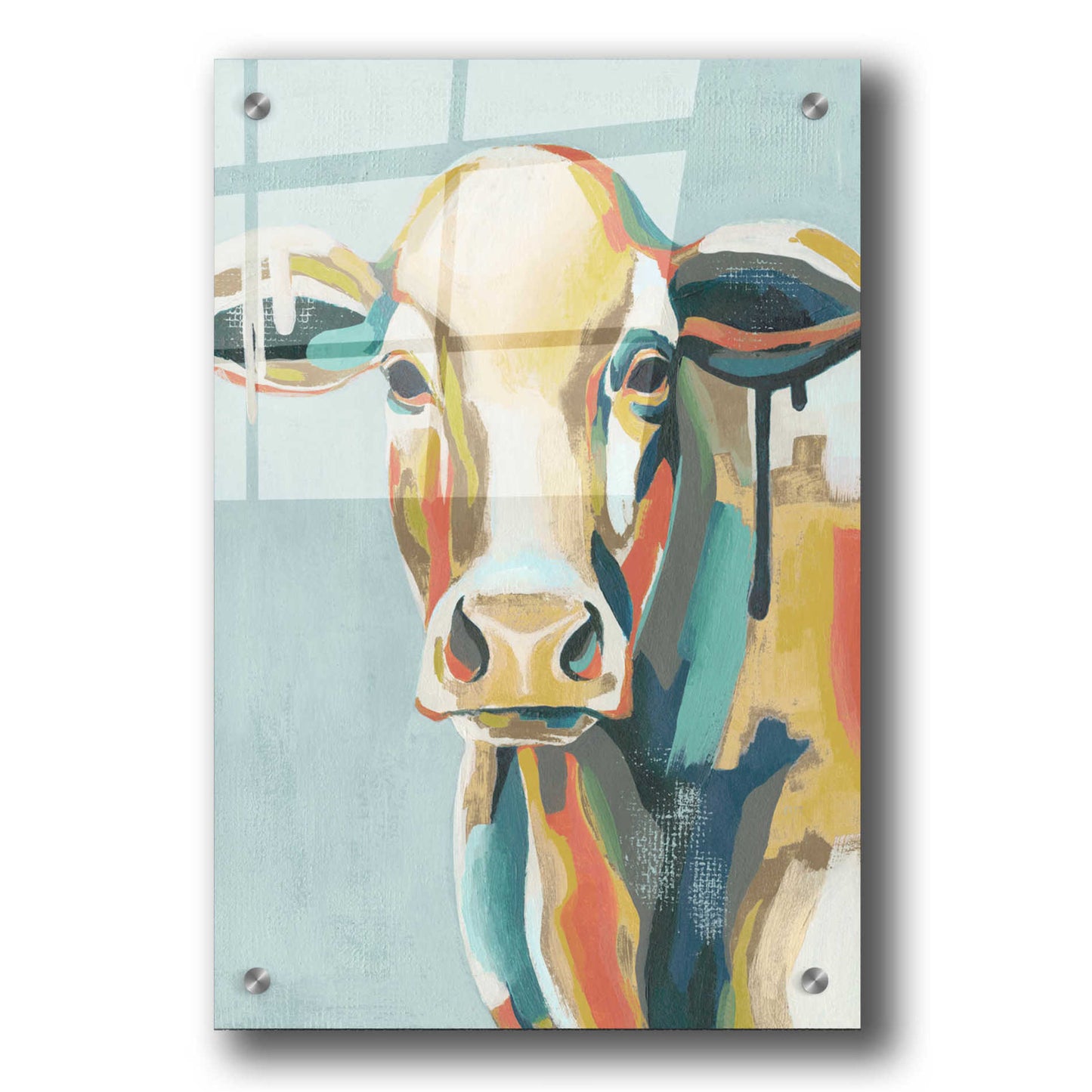 Epic Art 'Colorful Cows I' by Grace Popp, Acrylic Wall Glass,24x36