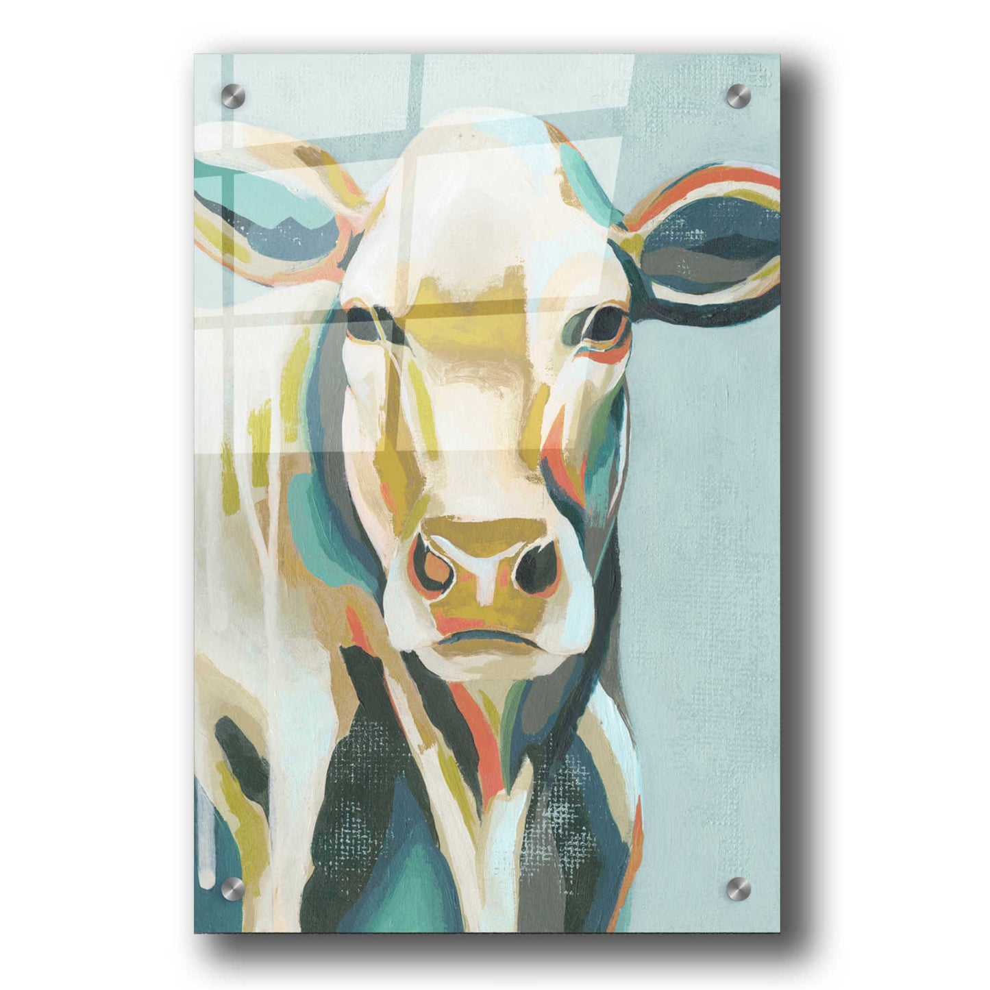 Epic Art 'Colorful Cows III' by Grace Popp, Acrylic Wall Glass,24x36