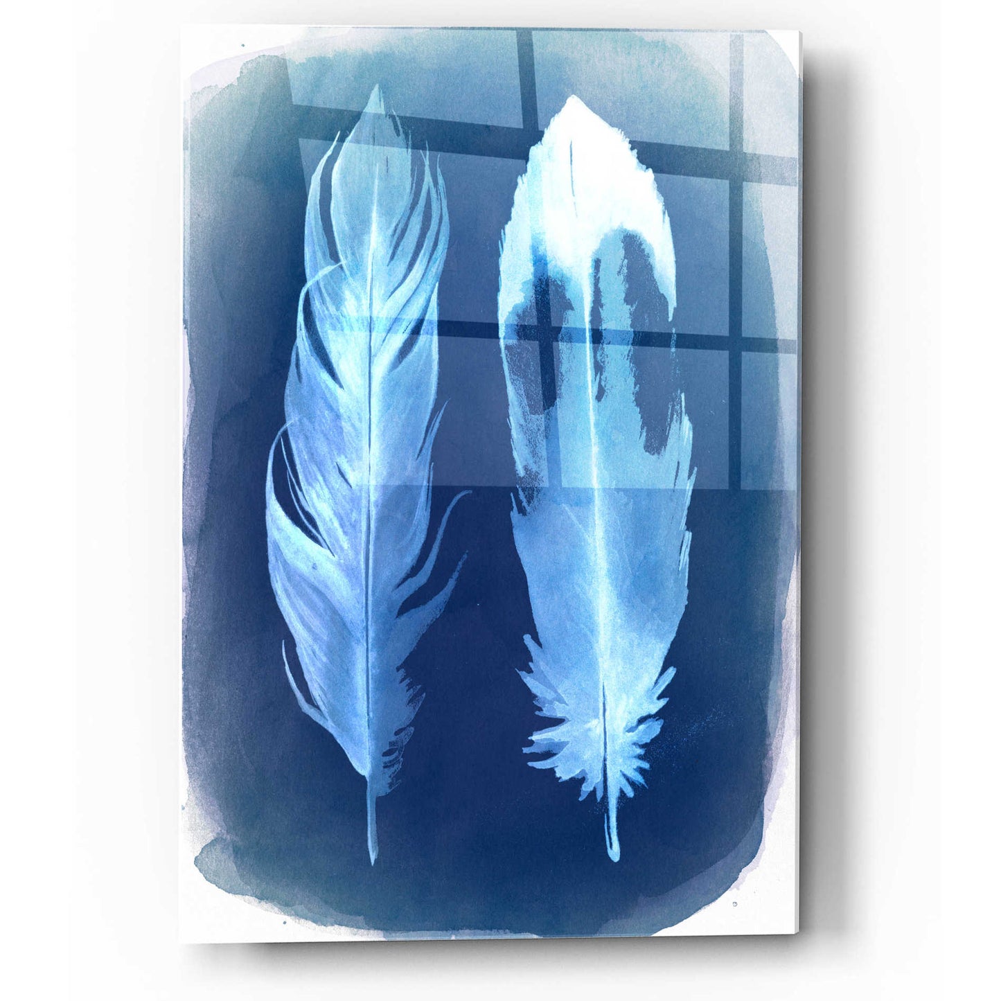 Epic Art 'Feather Negatives II' by Grace Popp, Acrylic Wall Glass,12x16