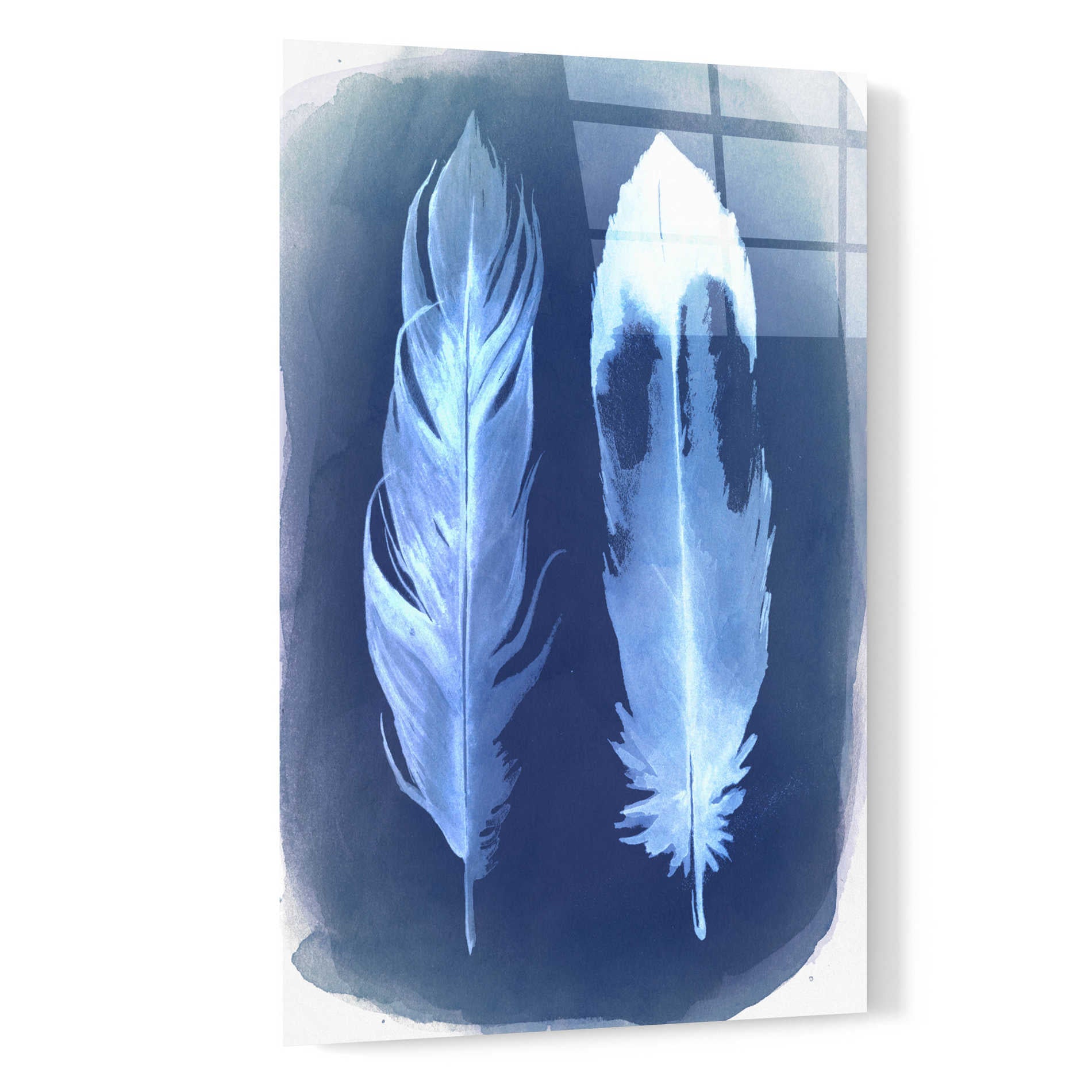 Epic Art 'Feather Negatives II' by Grace Popp, Acrylic Wall Glass,16x24