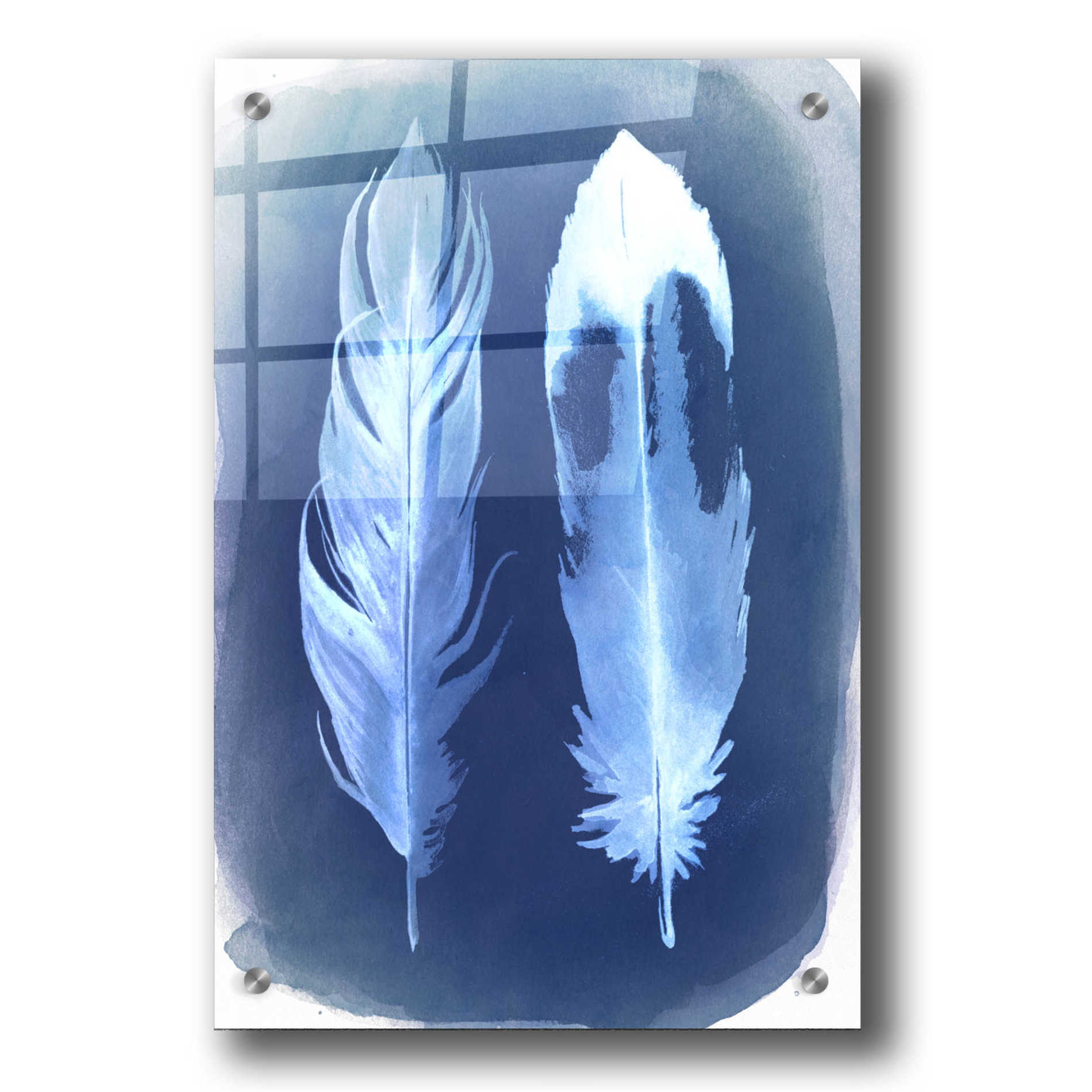 Epic Art 'Feather Negatives II' by Grace Popp, Acrylic Wall Glass,24x36