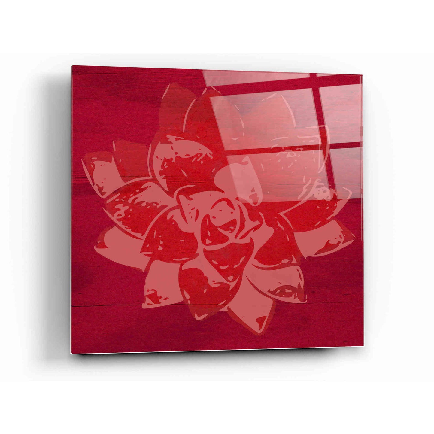 Epic Art 'Boho Succulent Red' by Linda Woods, Acrylic Glass Wall Art,12 x 12