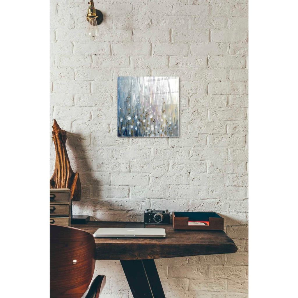 Epic Art 'January Branches' by Silvia Vassileva, Acrylic Glass Wall Art,12x12