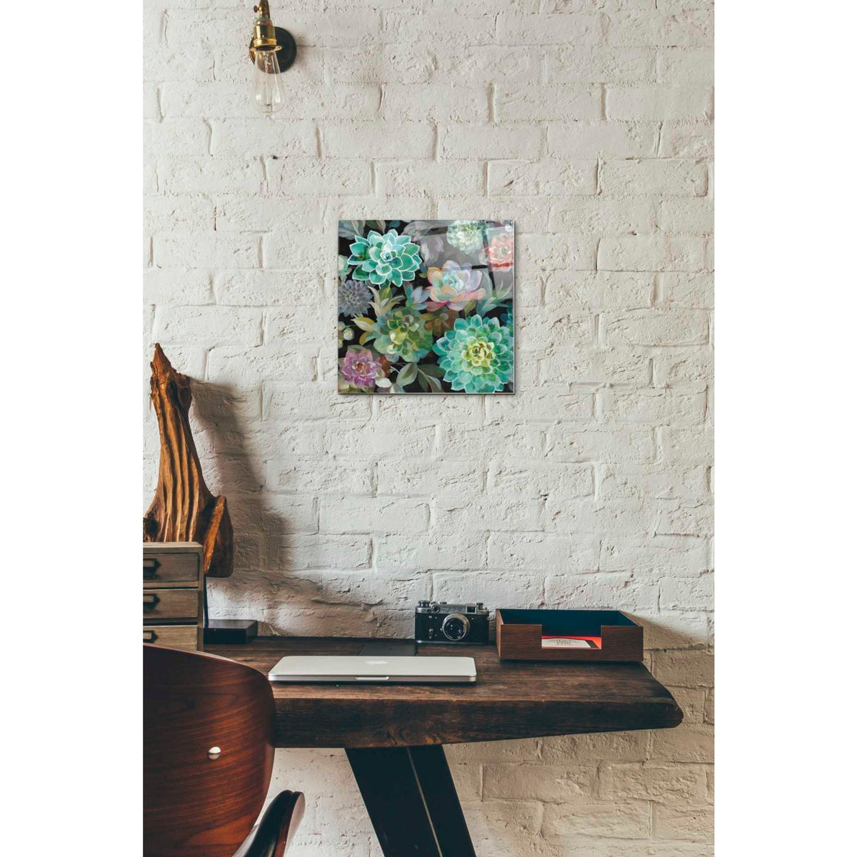 Epic Art 'Floral Succulents v2 Crop' by Danhui Nai, Acrylic Glass Wall Art,12 x 12