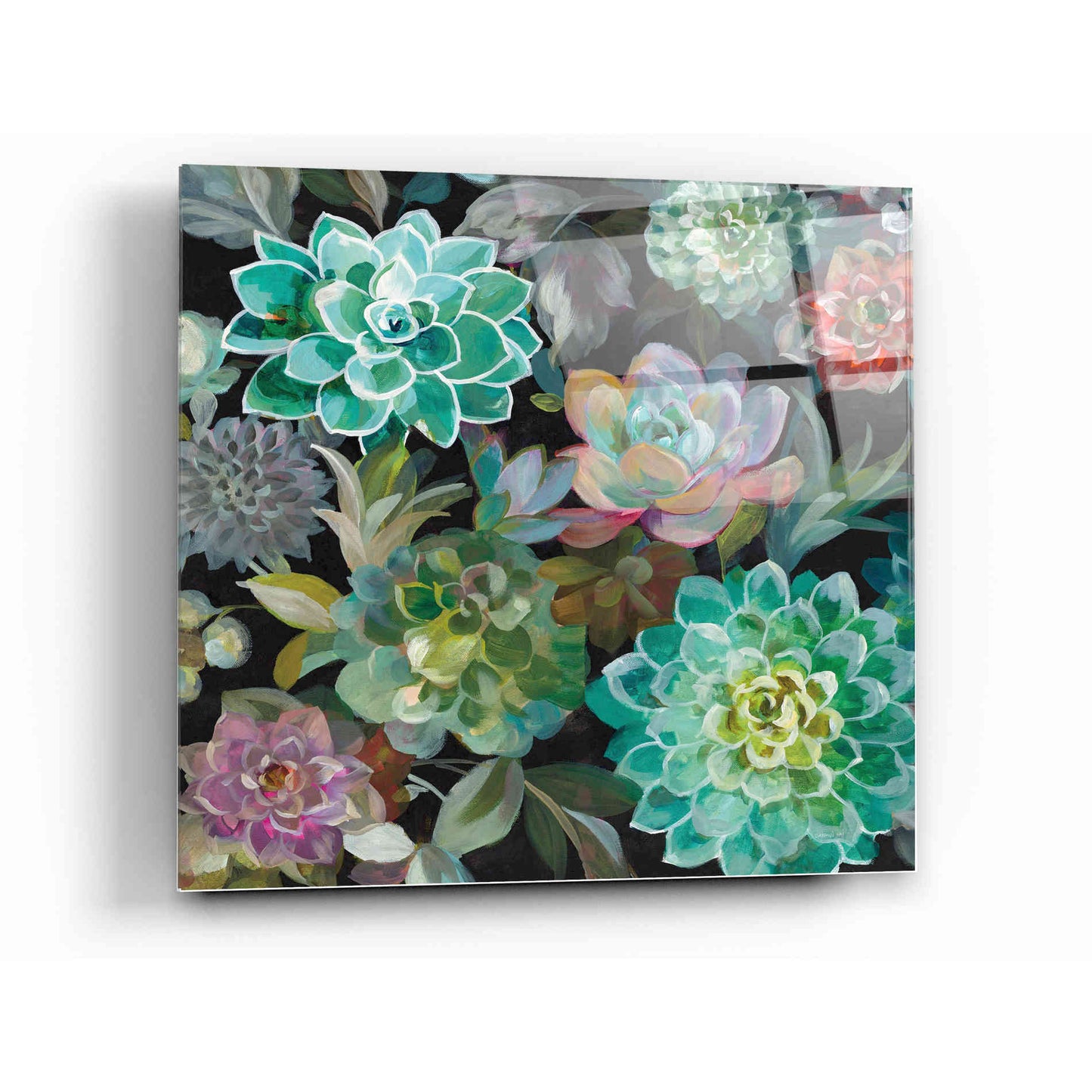Epic Art 'Floral Succulents v2 Crop' by Danhui Nai, Acrylic Glass Wall Art,12 x 12