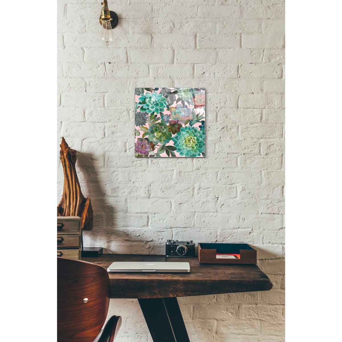 Epic Art 'Floral Succulents v2 Crop on Pink' by Danhui Nai, Acrylic Glass Wall Art,12x12