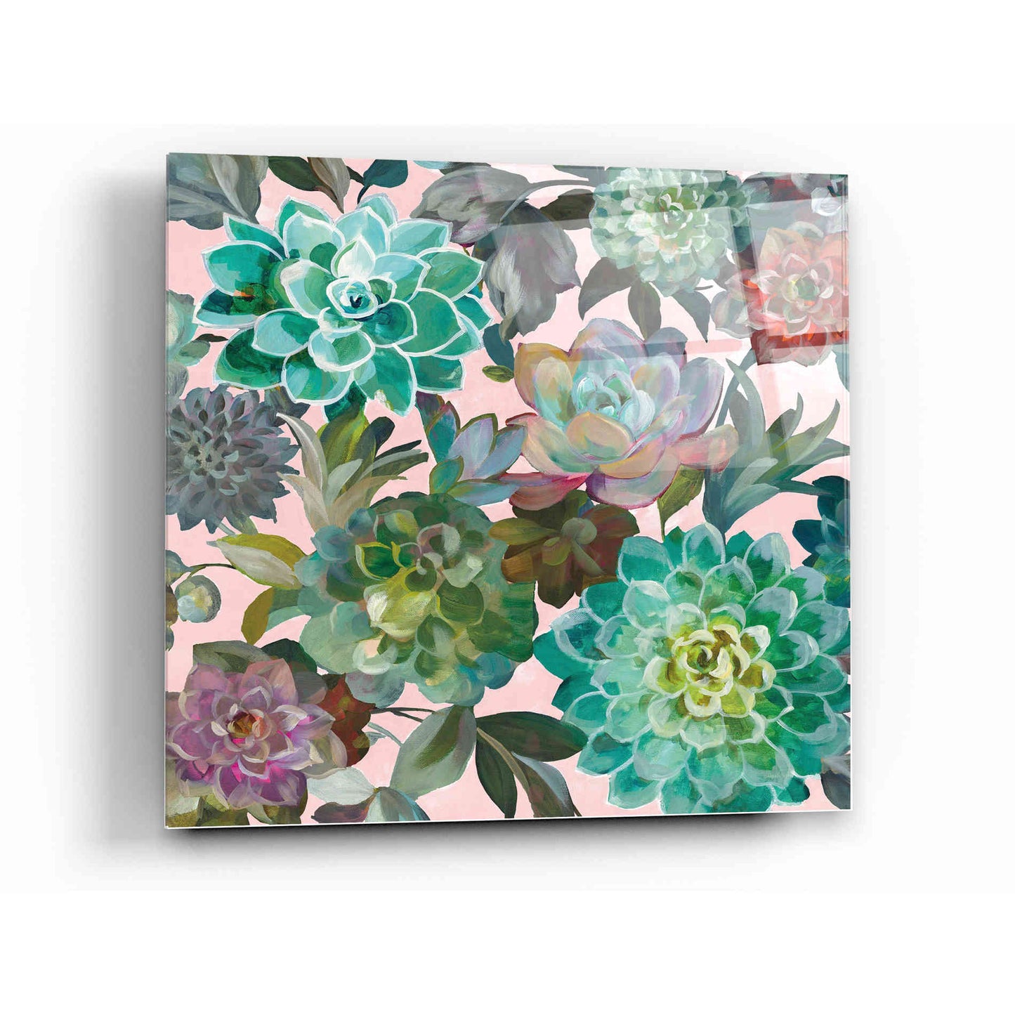 Epic Art 'Floral Succulents v2 Crop on Pink' by Danhui Nai, Acrylic Glass Wall Art,12x12