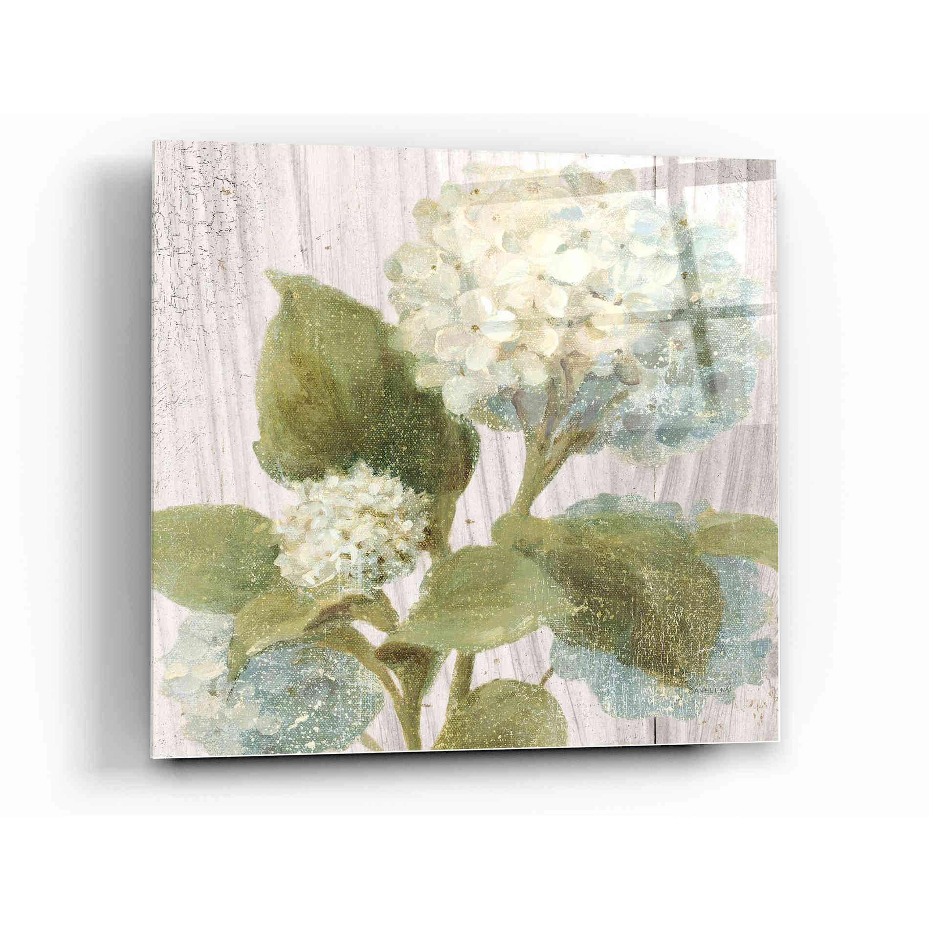 Epic Art 'Scented Cottage Florals IV Crop' by Danhui Nai, Acrylic Glass Wall Art,12x12