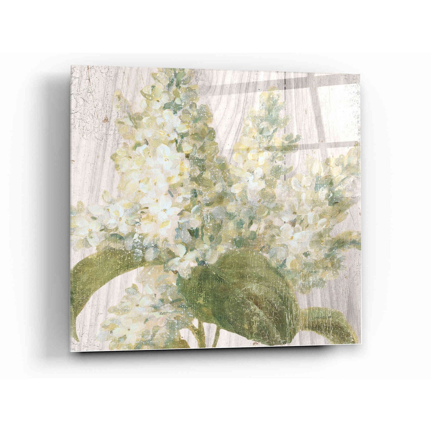 Epic Art 'Scented Cottage Florals II Crop' by Danhui Nai, Acrylic Glass Wall Art,12x12