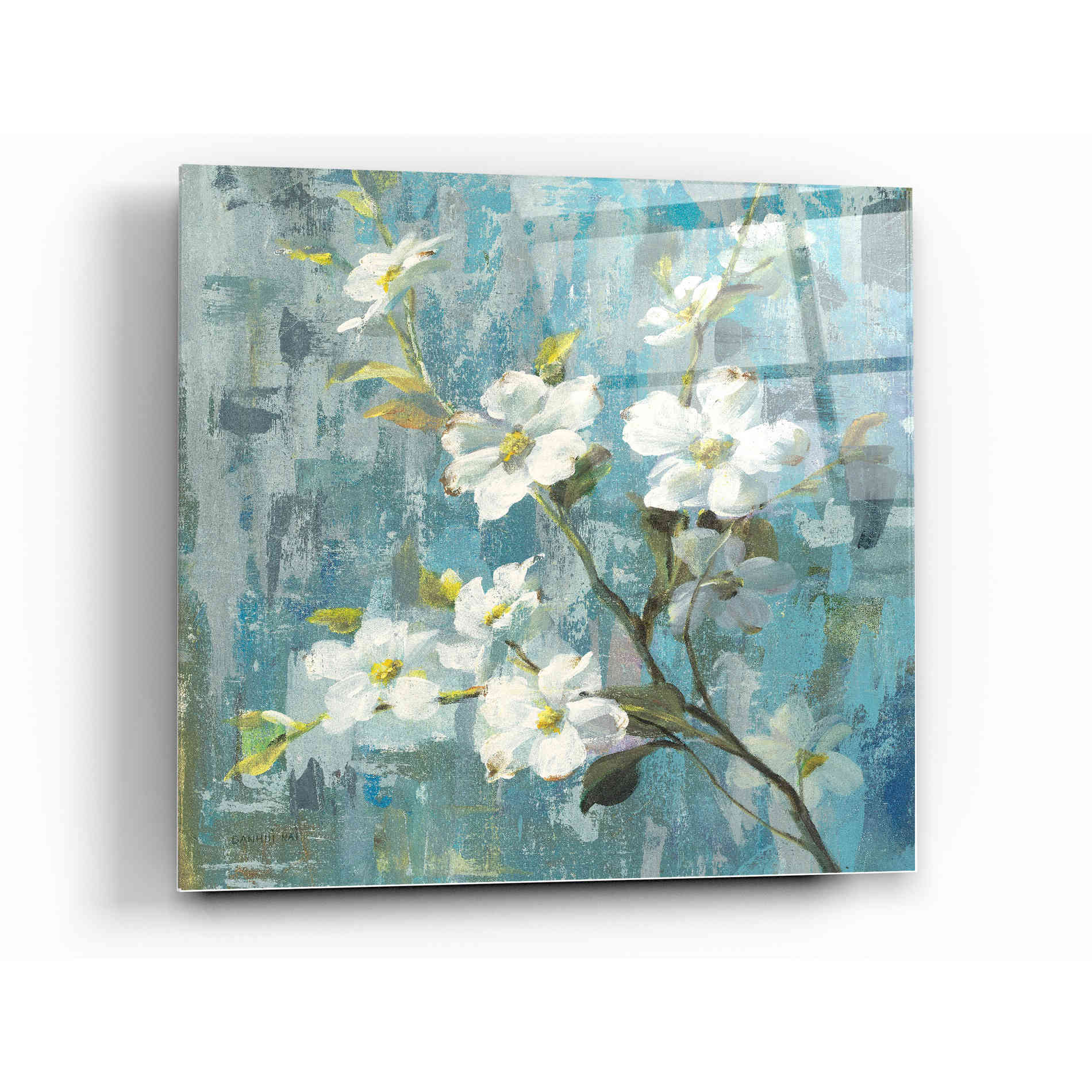 Epic Art 'Graceful Magnolia II' by Danhui Nai, Acrylic Glass Wall Art,12x12