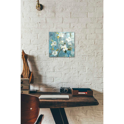 Epic Art "Graceful Magnolia I" by Danhui Nai, Acrylic Glass Wall Art,12x12