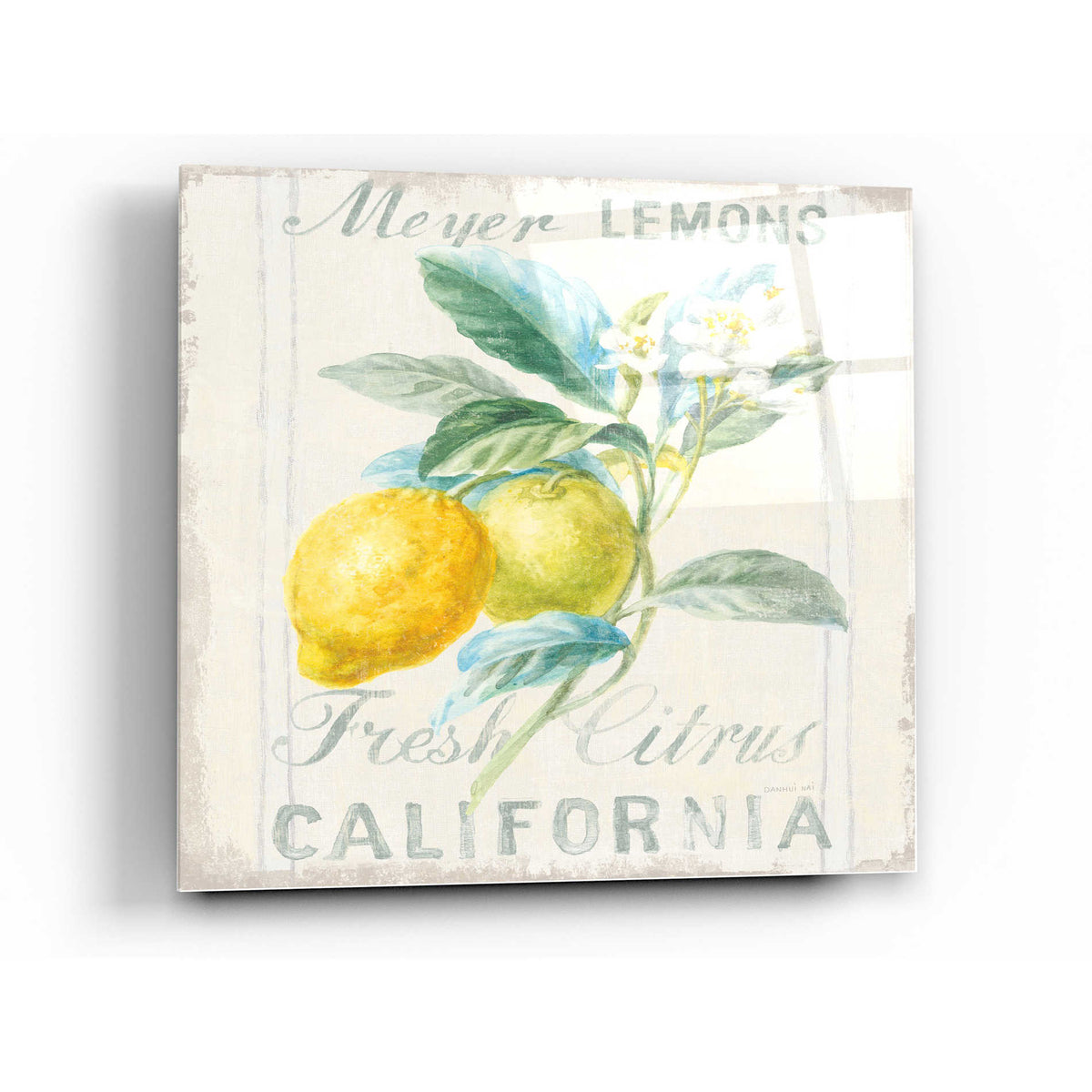 Epic Art 'Floursack Lemon II' by Danhui Nai, Acrylic Glass Wall Art,12x12