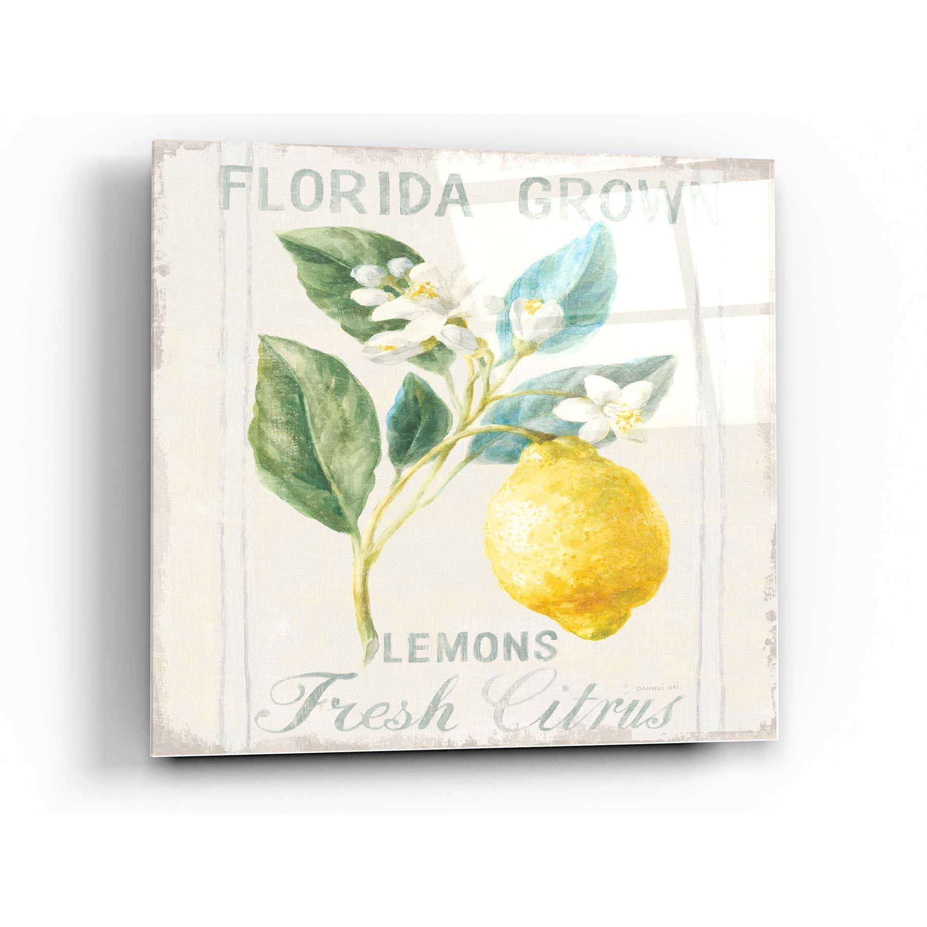 Epic Art 'Floursack Lemon I' by Danhui Nai, Acrylic Glass Wall Art,12x12