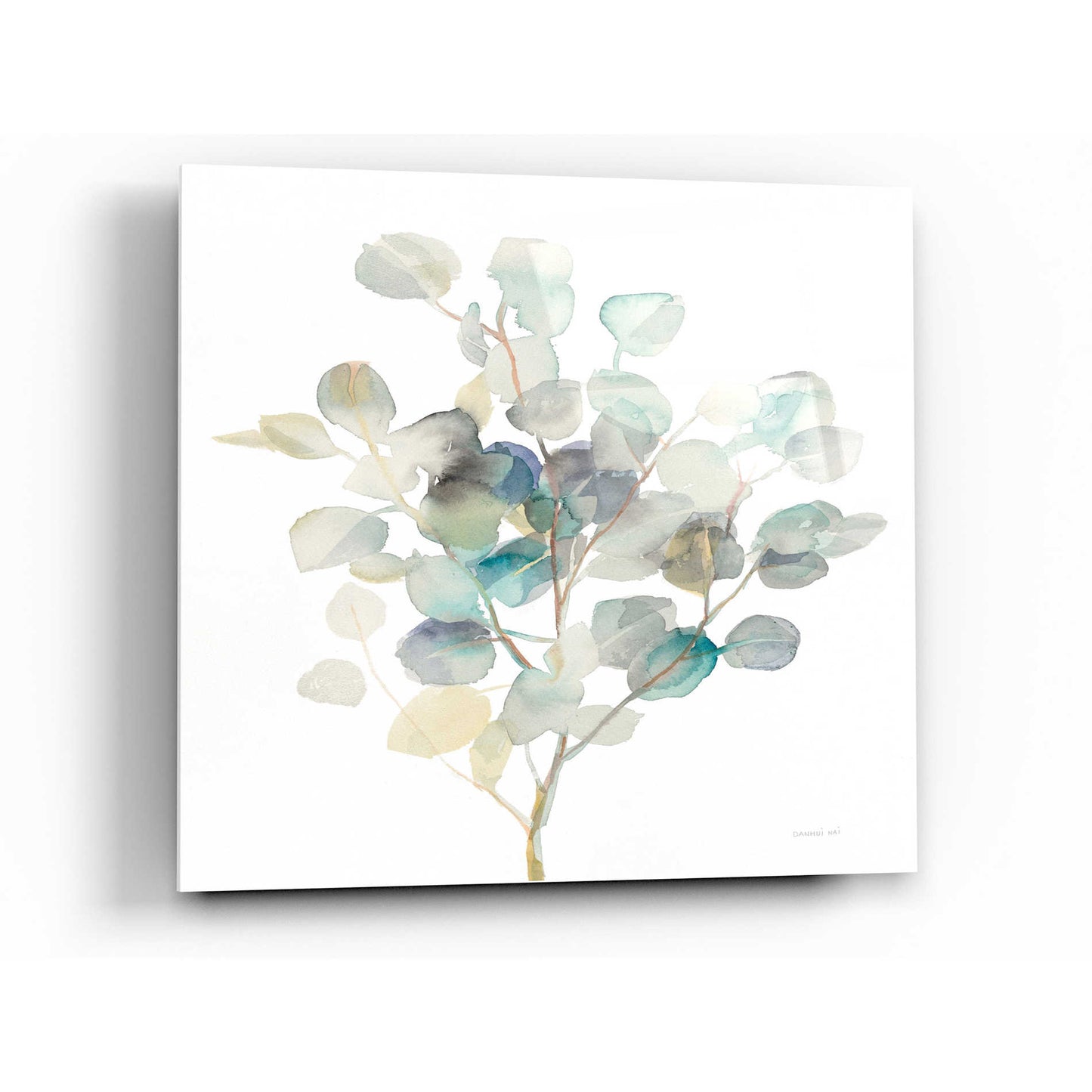 Epic Art 'Eucalyptus III White' by Danhui Nai, Acrylic Glass Wall Art,12x12