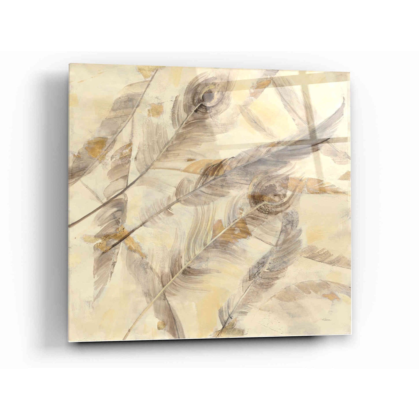 Epic Art 'Falling Feathers' by Albena Hristova, Acrylic Glass Wall Art,12x12