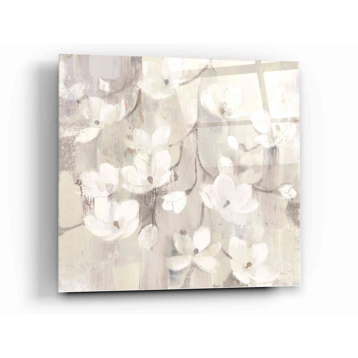 Epic Art 'Magnolias in Spring II Neutral' by Albena Hristova, Acrylic Glass Wall Art,12x12