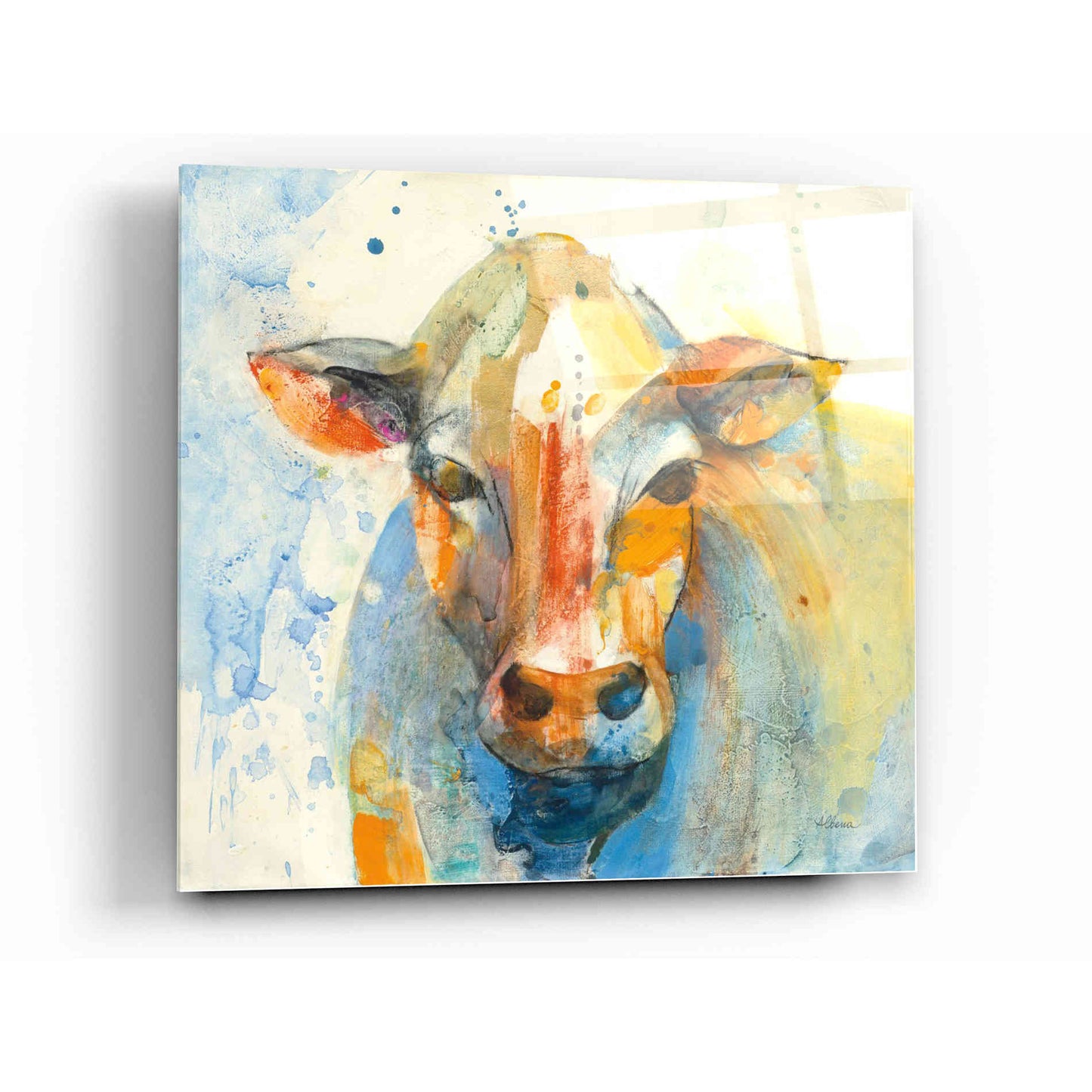 Epic Art 'Happy Cows II' by Albena Hristova, Acrylic Glass Wall Art,12x12