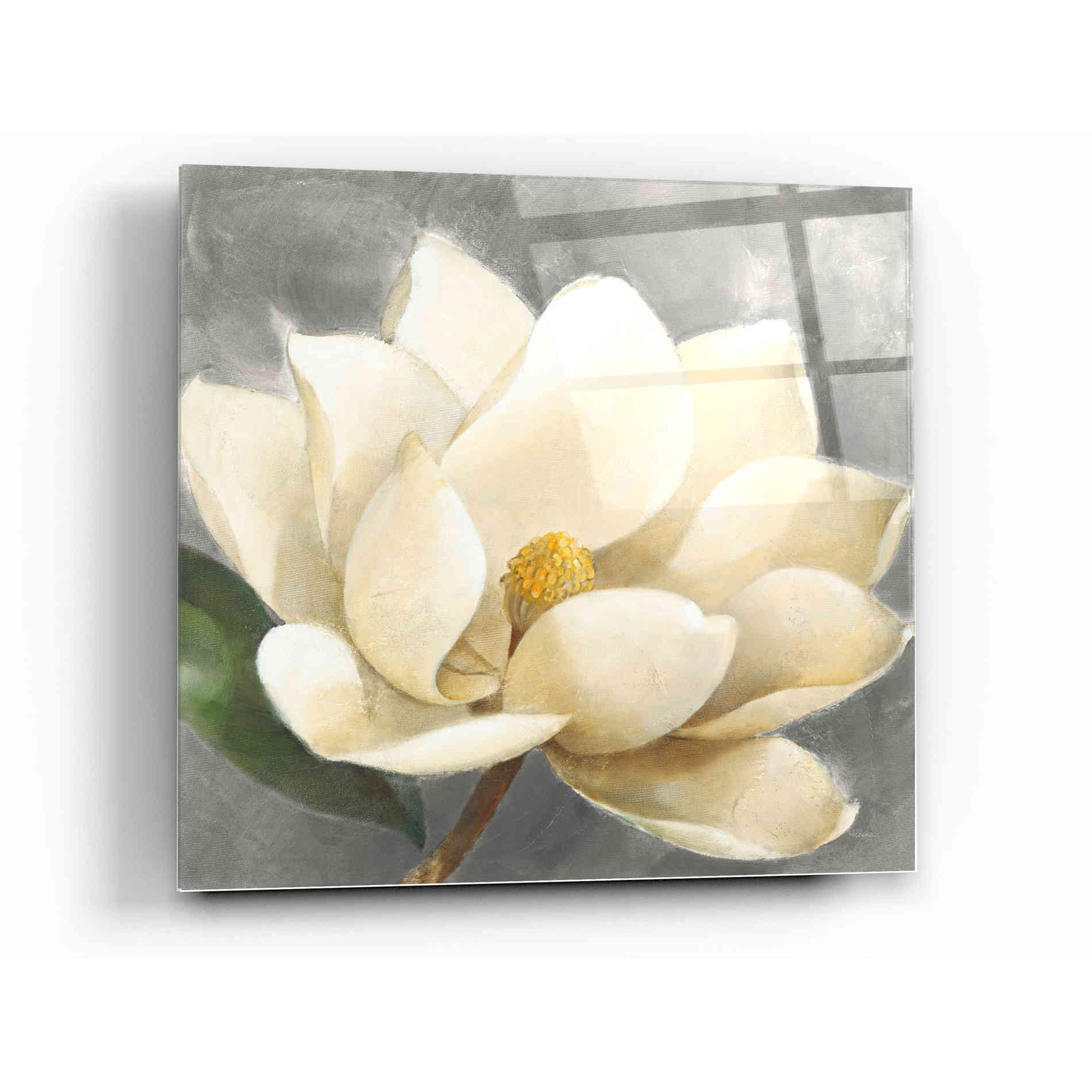 Epic Art 'Magnolia Blossom on Gray' by Albena Hristova, Acrylic Glass Wall Art,12x12