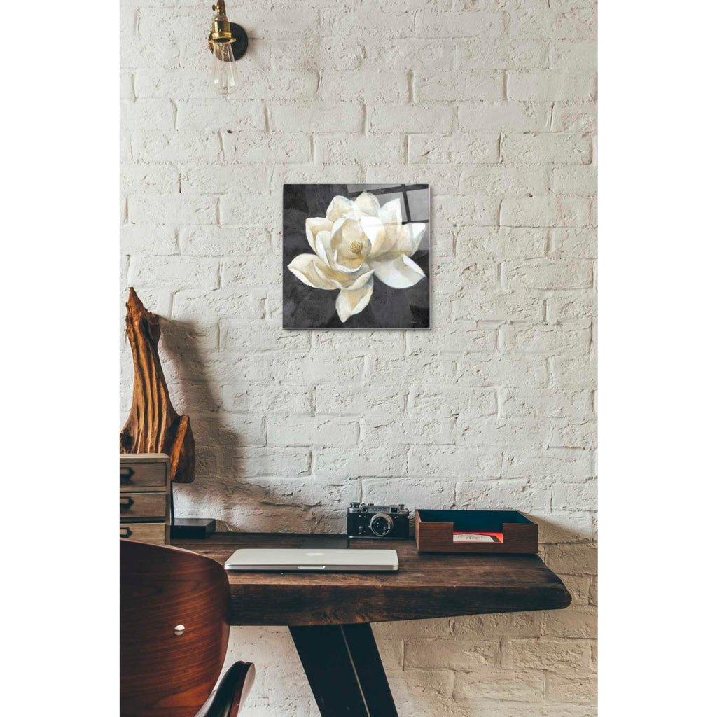 Epic Art 'Majestic Magnolia Neutral Sq' by Albena Hristova, Acrylic Glass Wall Art,12x12