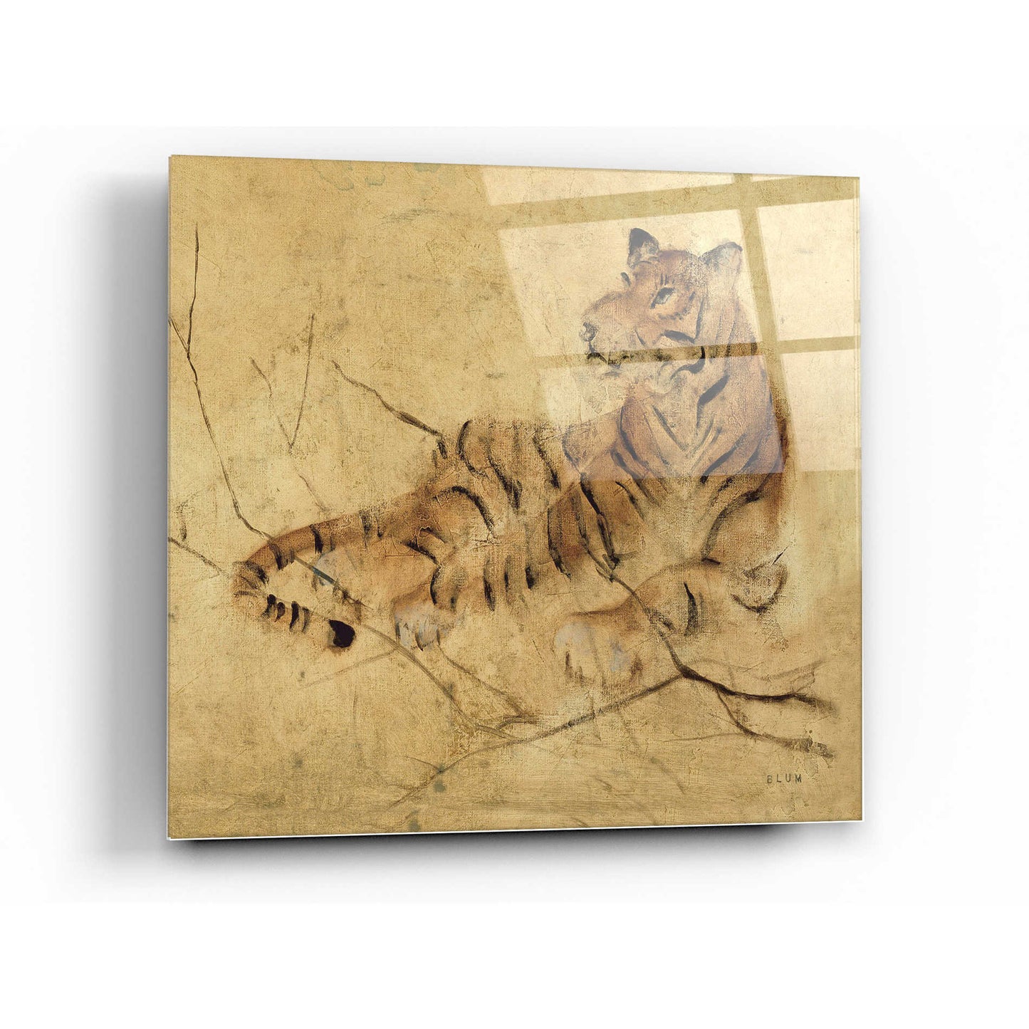 Epic Art 'Global Tiger Light Crop' by Cheri Blum, Acrylic Glass Wall Art,12 x 12