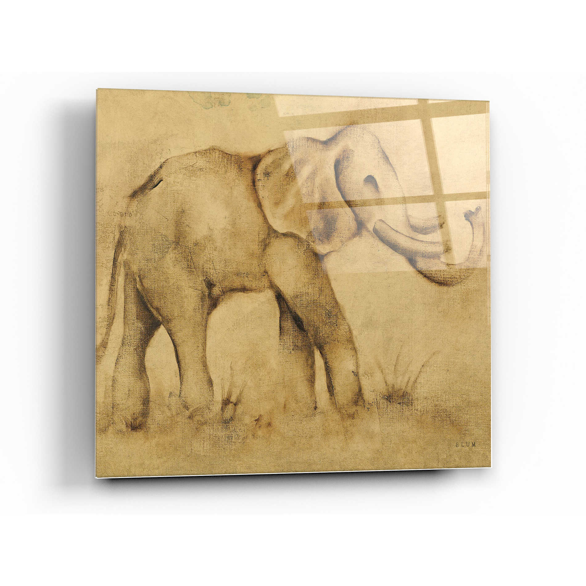 Epic Art 'Global Elephant Light Crop' by Cheri Blum, Acrylic Glass Wall Art,12 x 12