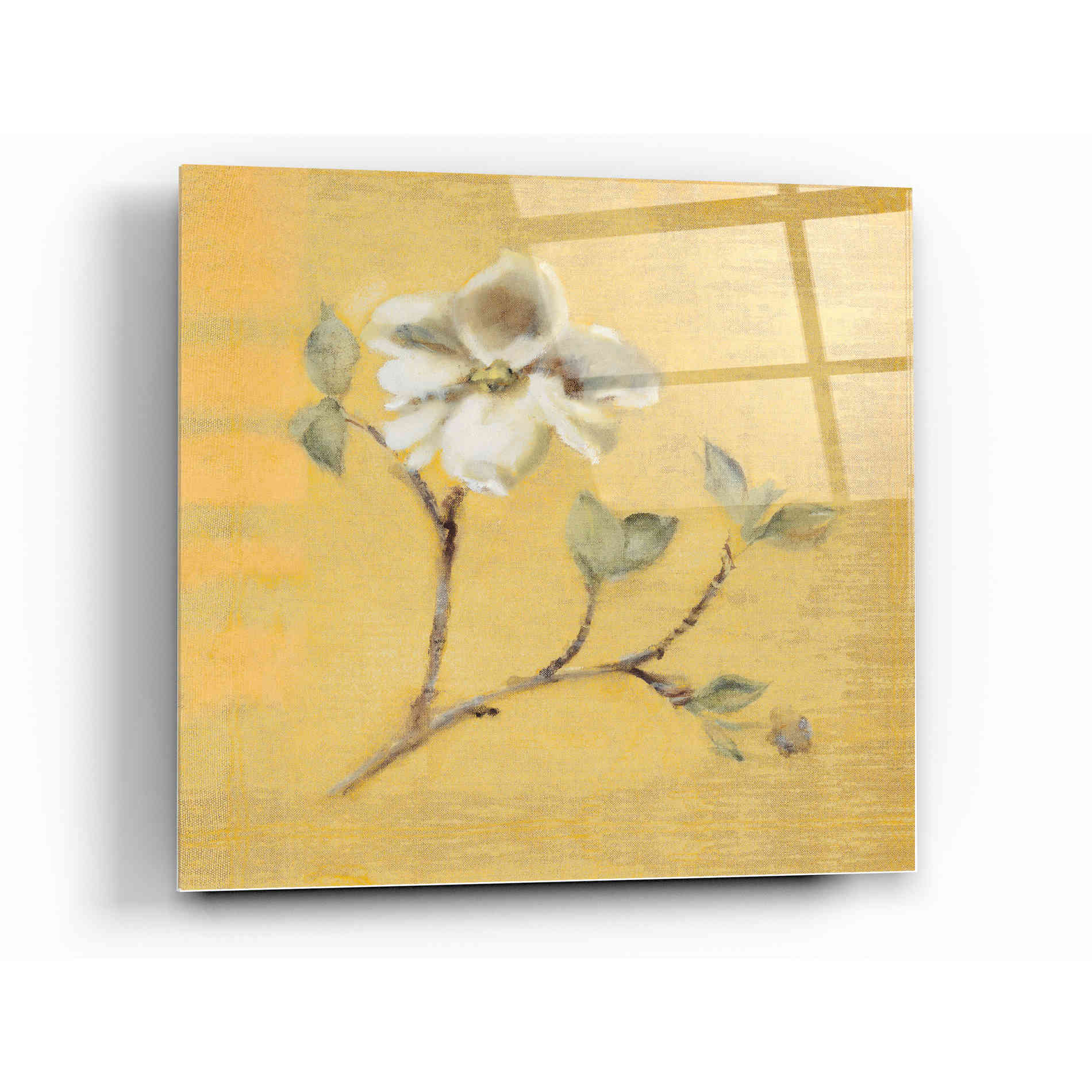 Epic Art 'Dogwood Blossom on Gold' by Cheri Blum, Acrylic Glass Wall Art,12 x 12