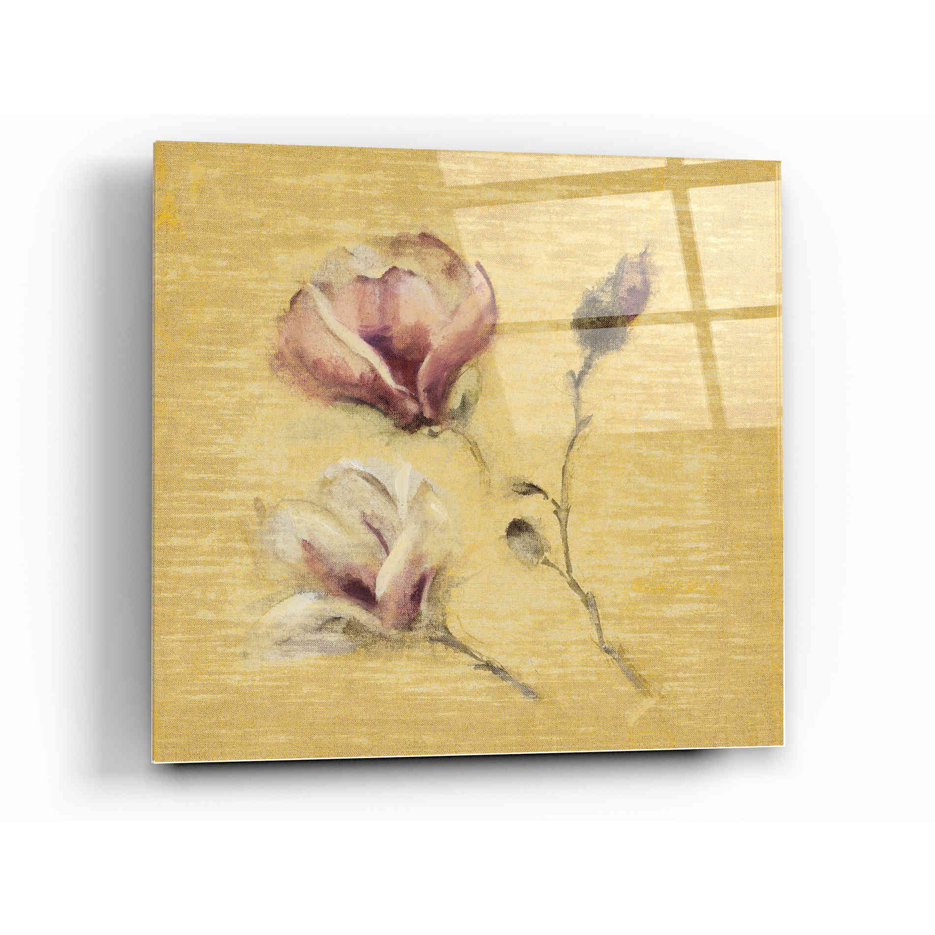 Epic Art 'Magnolia Blossom on Gold' by Cheri Blum, Acrylic Glass Wall Art,12 x 12