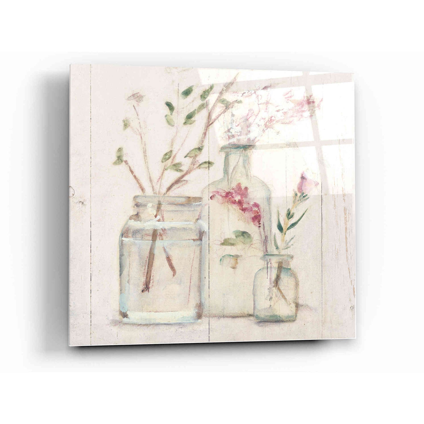 Epic Art 'Blossoms on Birch VI' by Cheri Blum, Acrylic Glass Wall Art,12 x 12