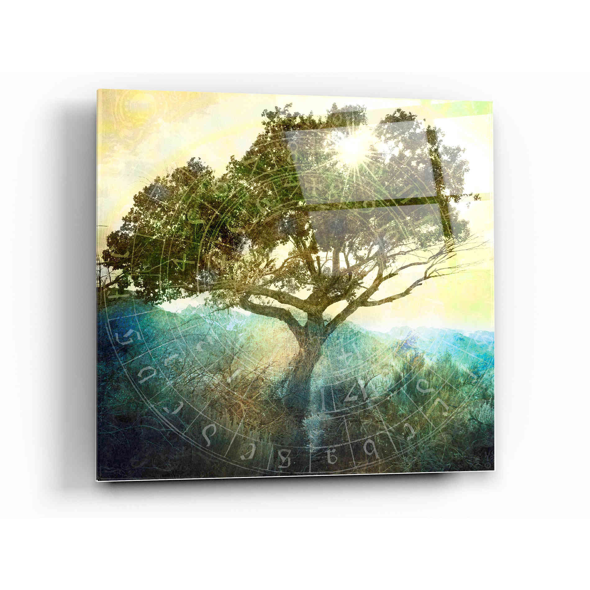 Epic Art 'Tree And Sun' by Elena Ray Acrylic Glass Wall Art,12 x 12