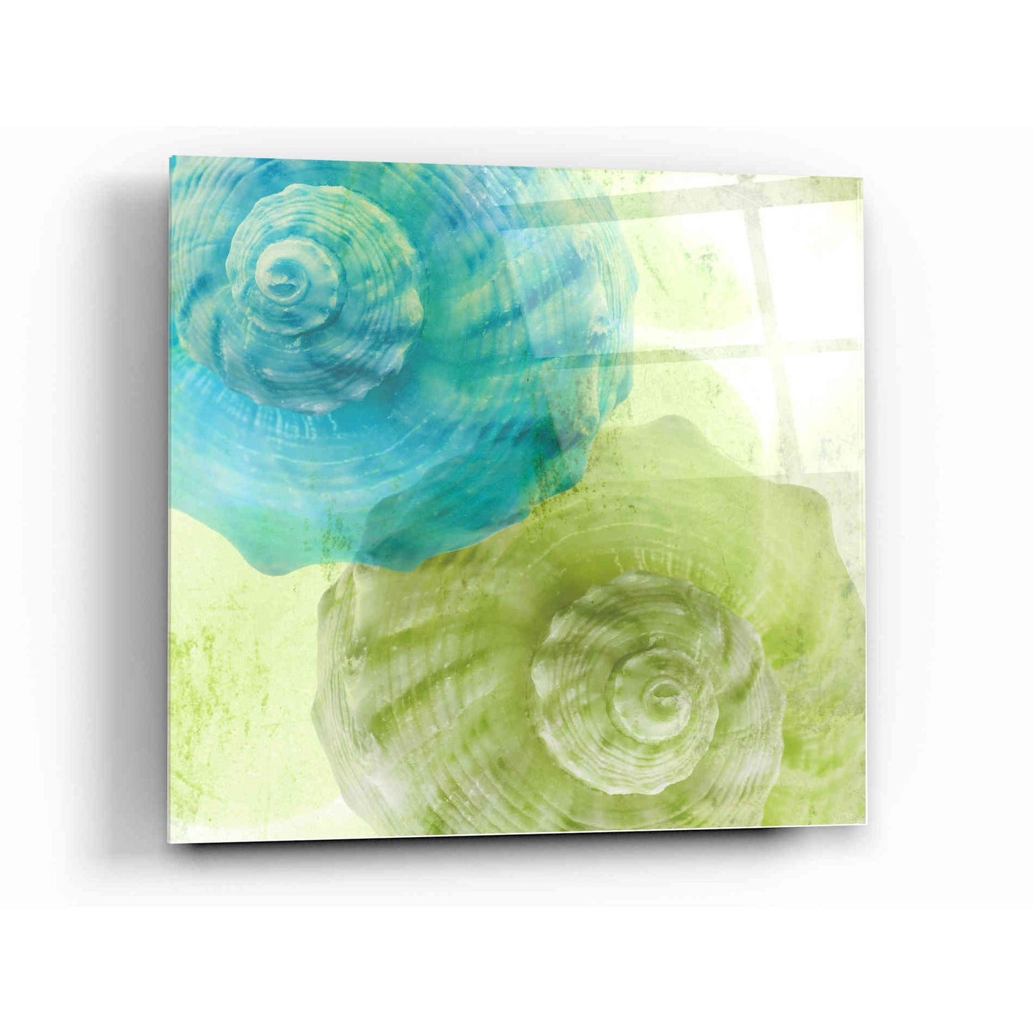 Epic Art 'Luminous Seashells 3' by Elena Ray Acrylic Glass Wall Art,12 x 12