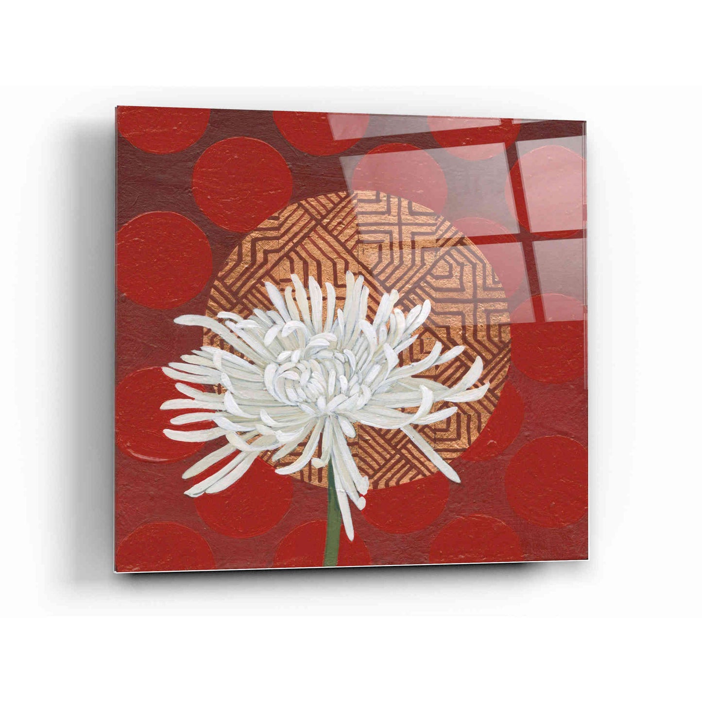 Epic Art 'Morning Chrysanthemum IV' by Kathrine Lovell, Acrylic Glass Wall Art,12x12