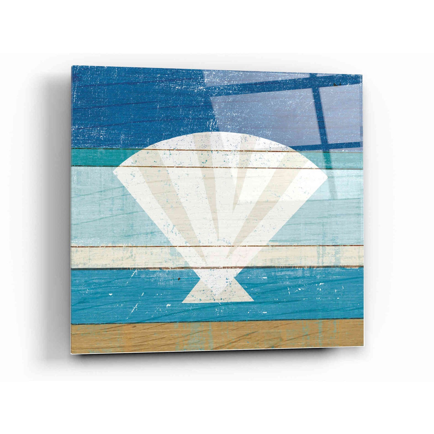 Epic Art 'Beachscape Shell' by Michael Mullan, Acrylic Glass Wall Art,12 x 12
