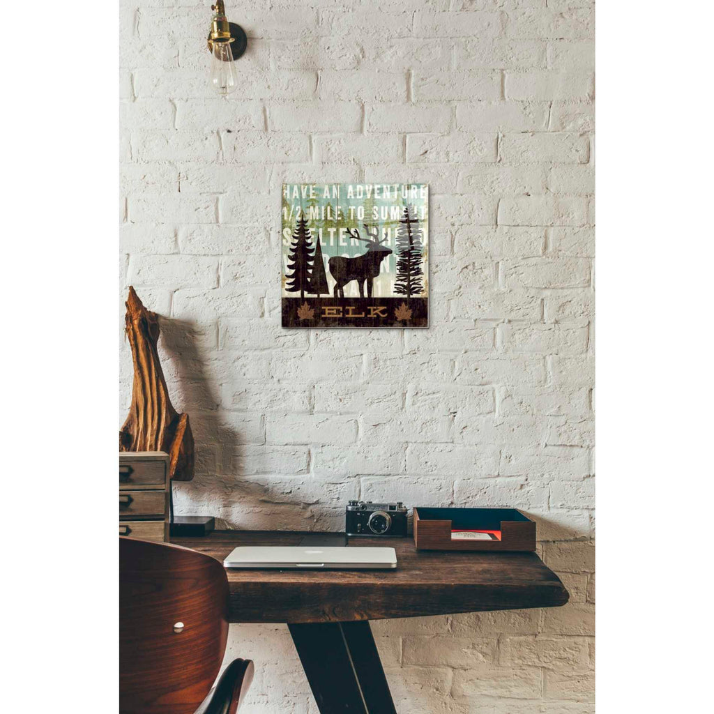 Epic Art 'Simple Living Elk' by Michael Mullan, Acrylic Glass Wall Art,12 x 12